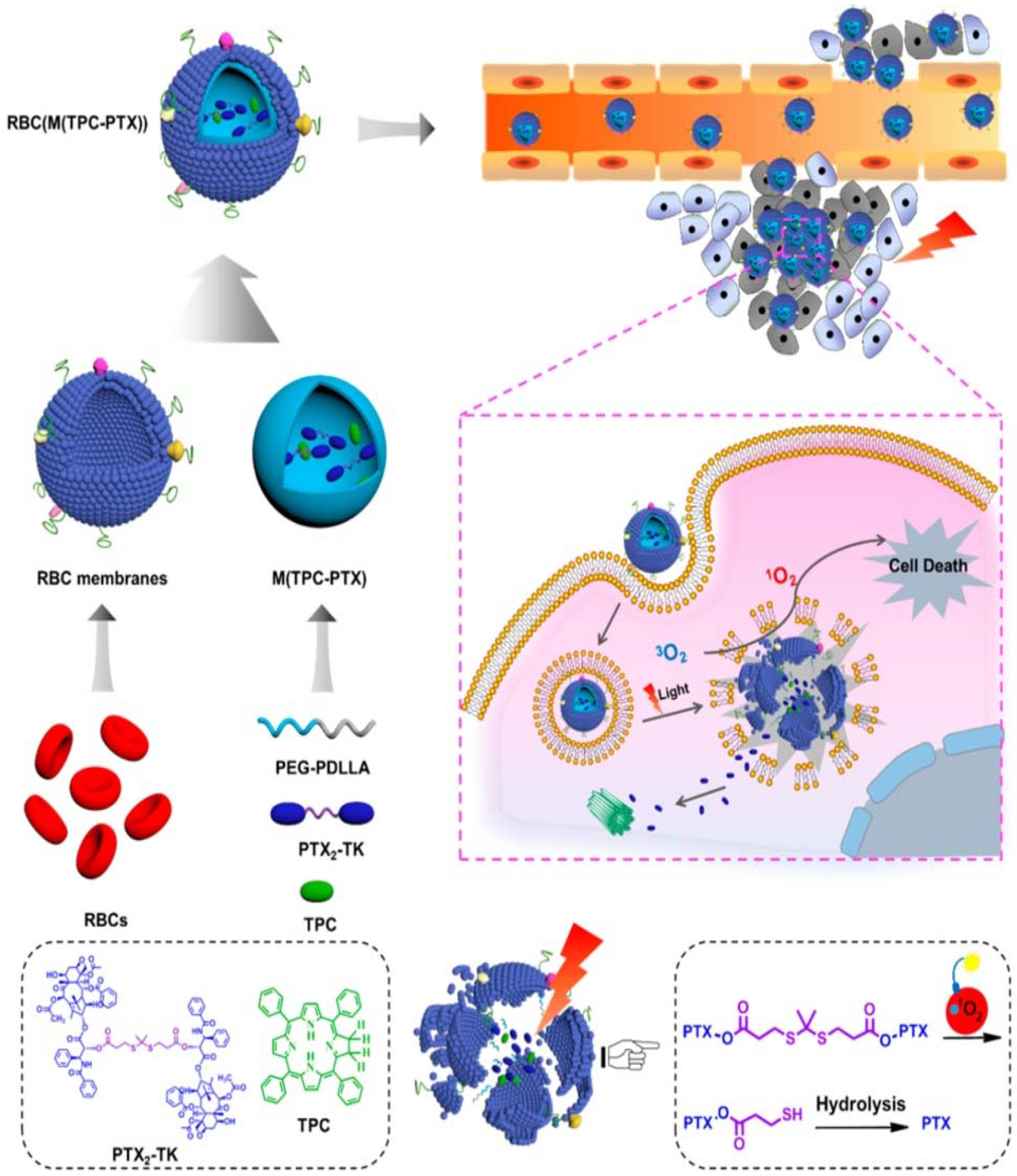 Polymers 10 00983 g004