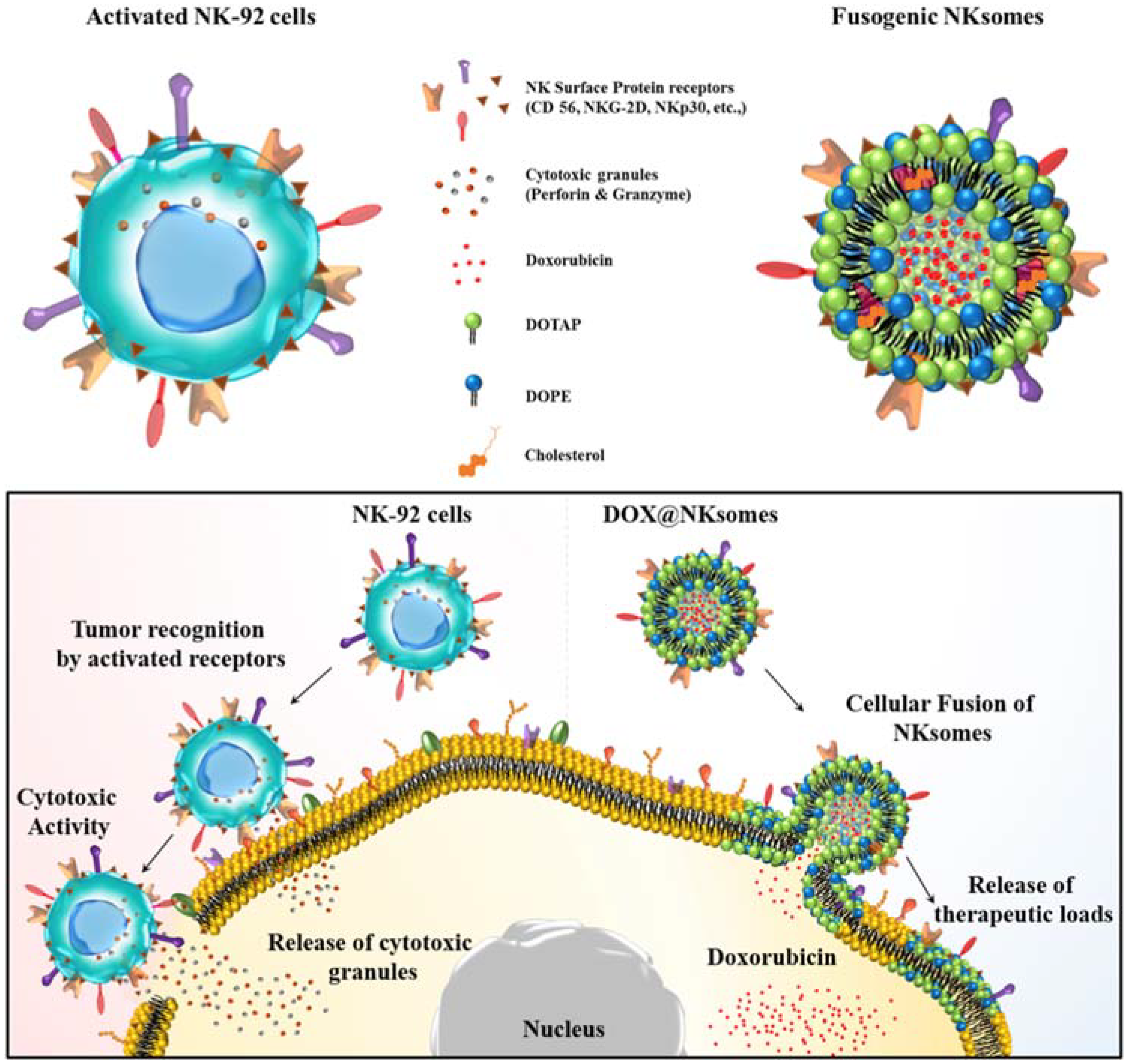Polymers 10 00983 g007