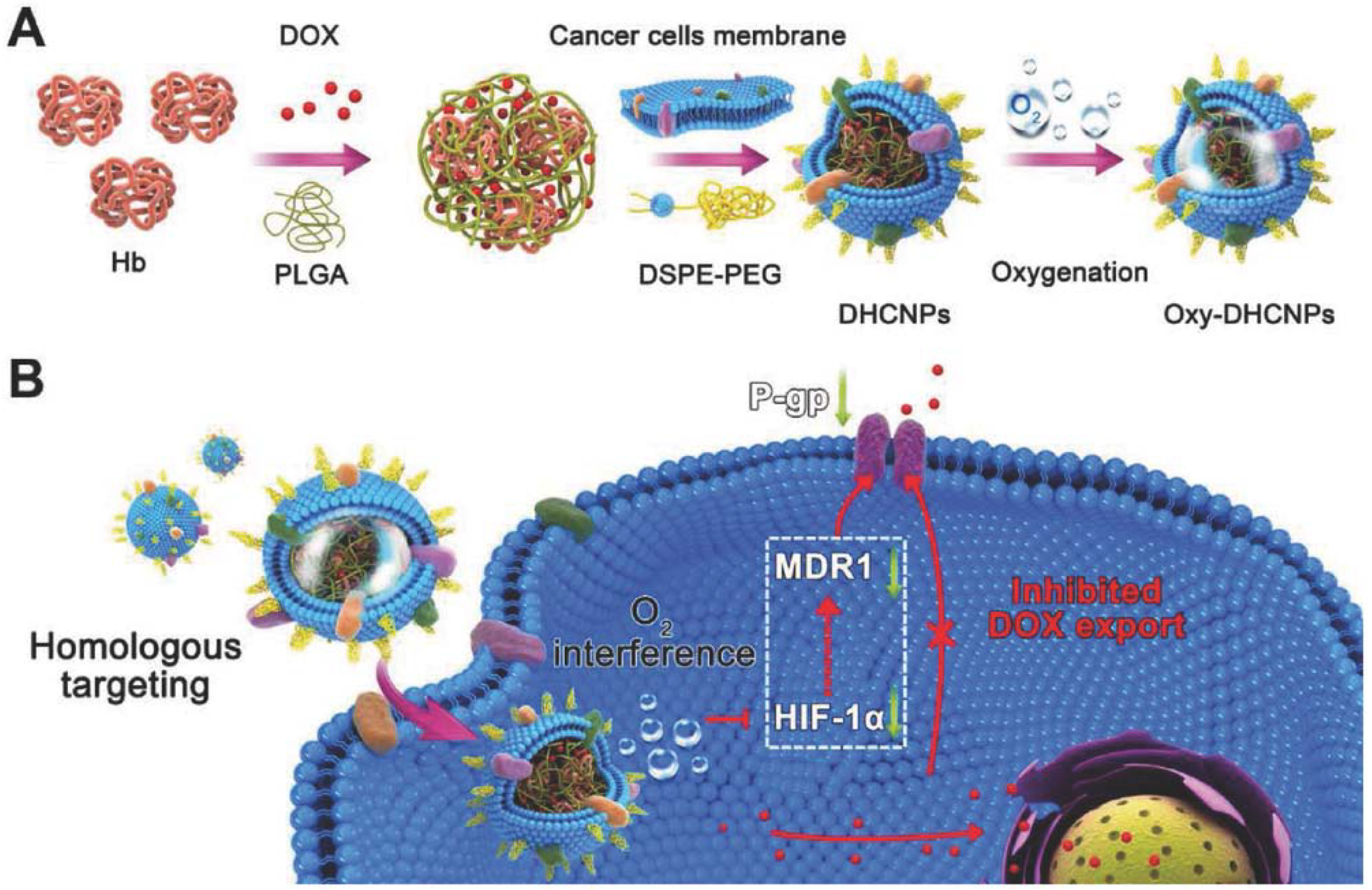 Polymers 10 00983 g008