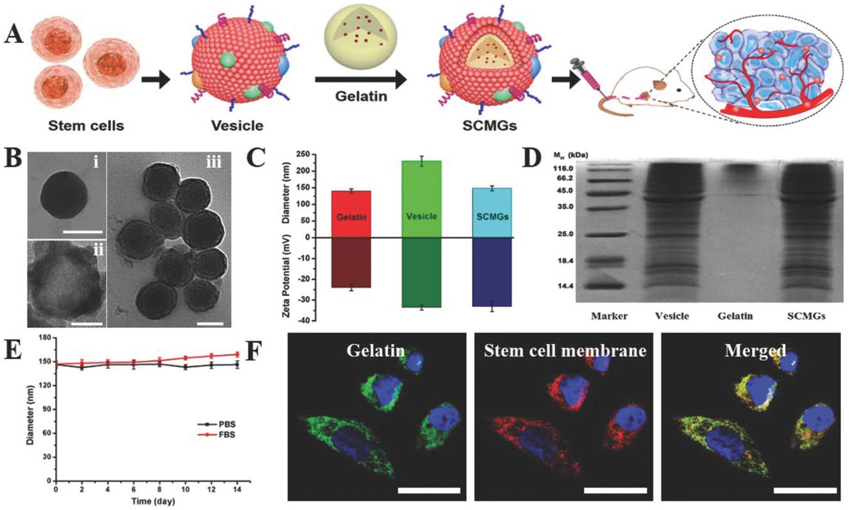 Polymers 10 00983 g009