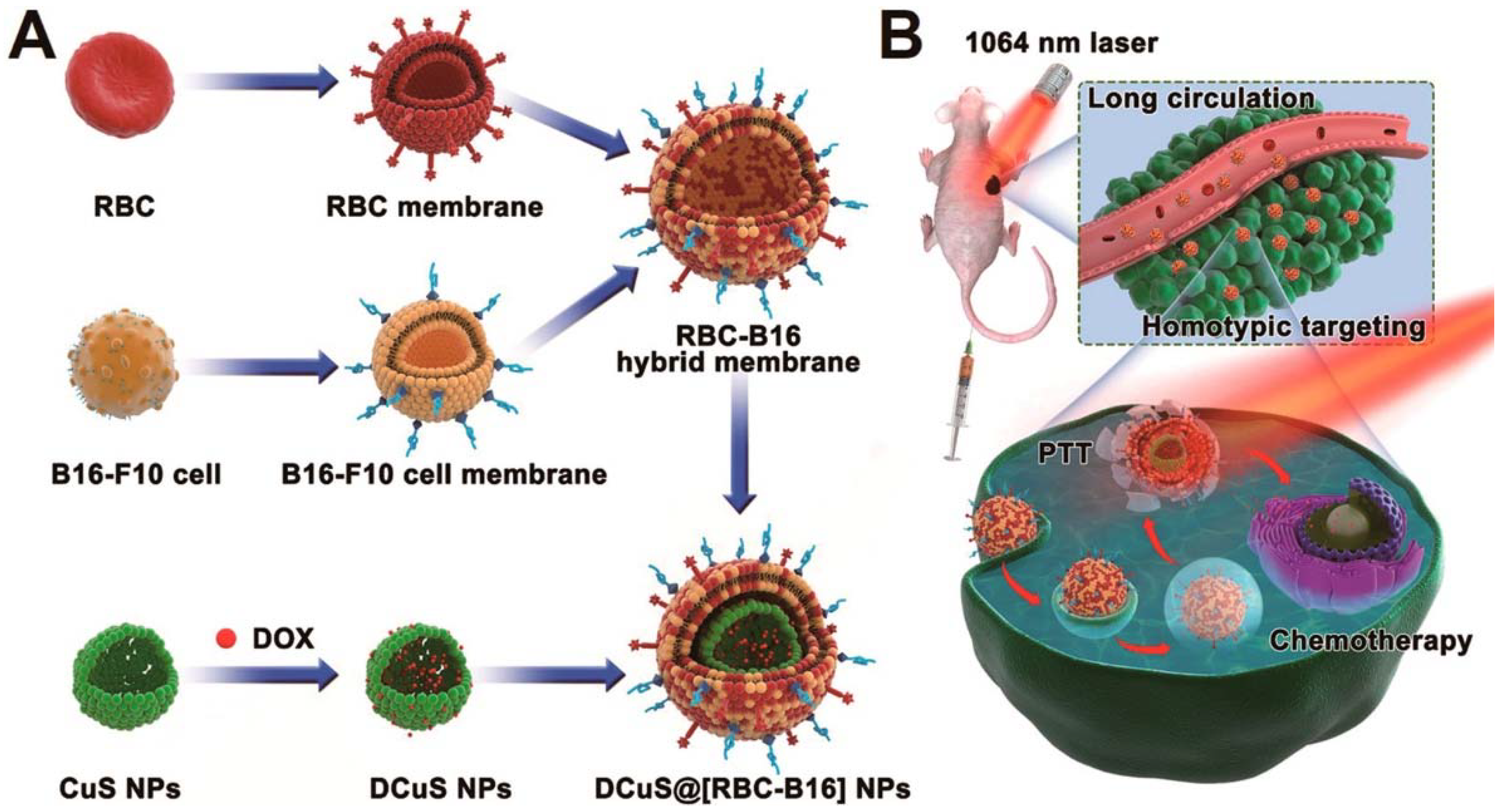 Polymers 10 00983 g010