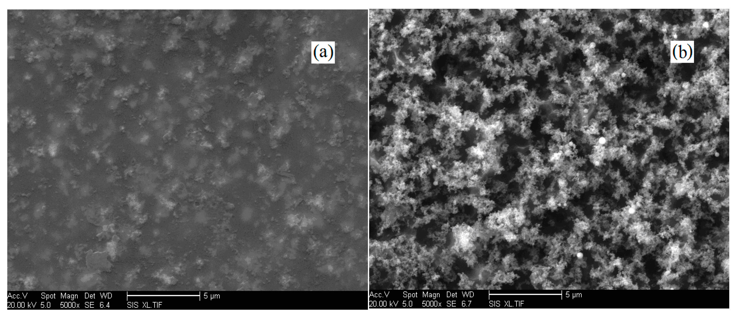 Polymers 10 00984 g007 Polymers 10 00984 g007