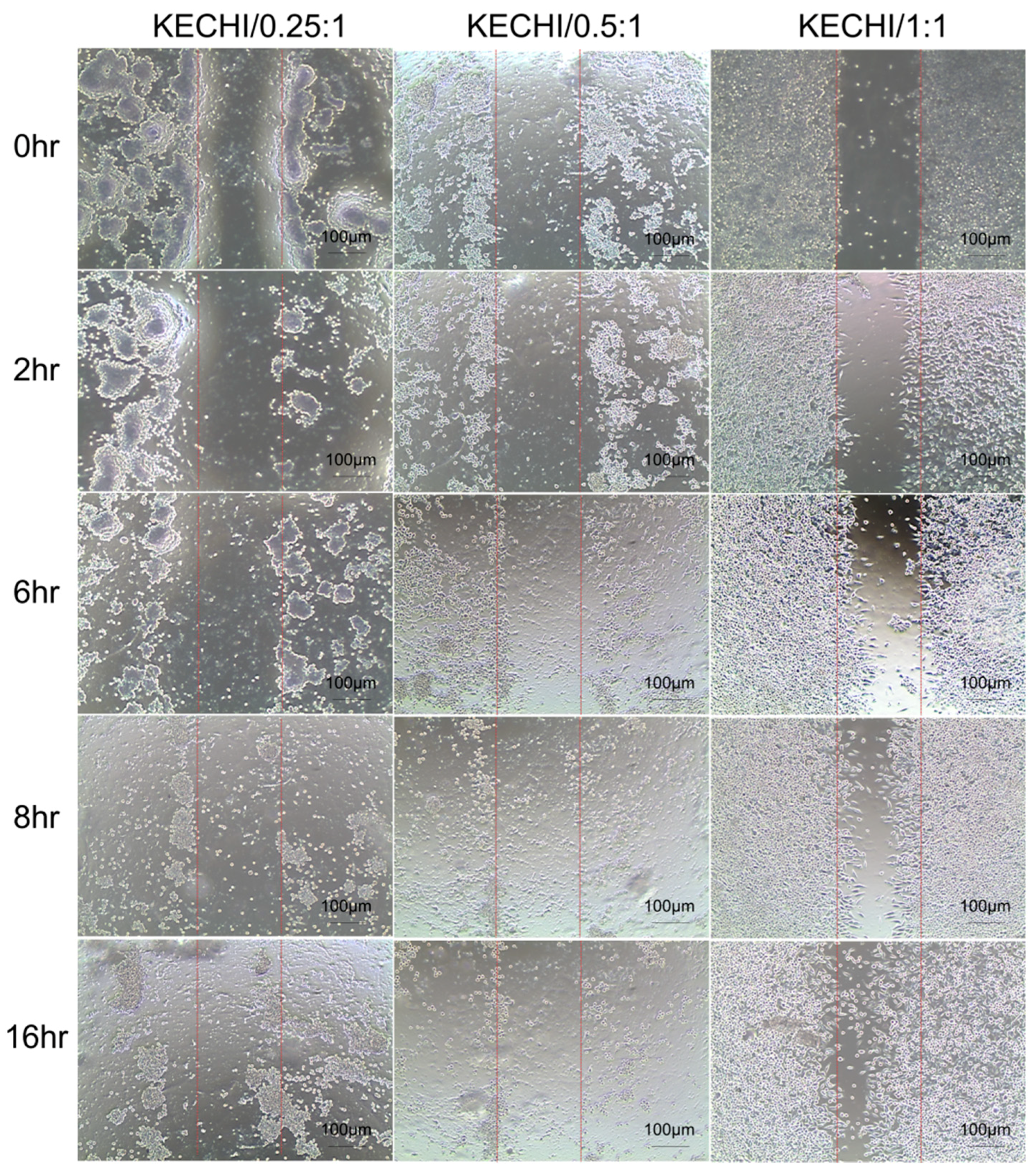 Polymers 10 00987 g008 Polymers 10 00987 g008