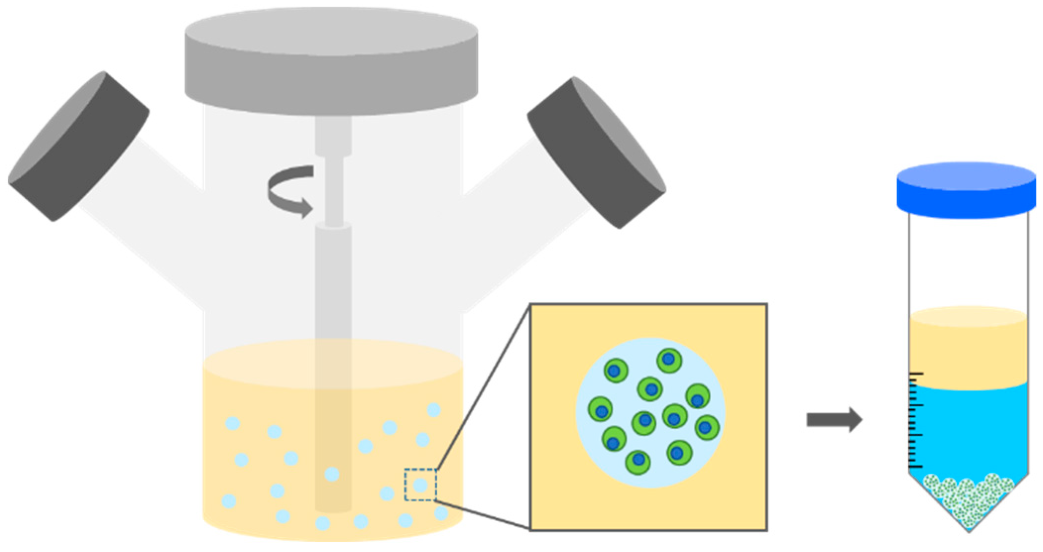 Polymers 10 00997 g006 Polymers 10 00997 g006