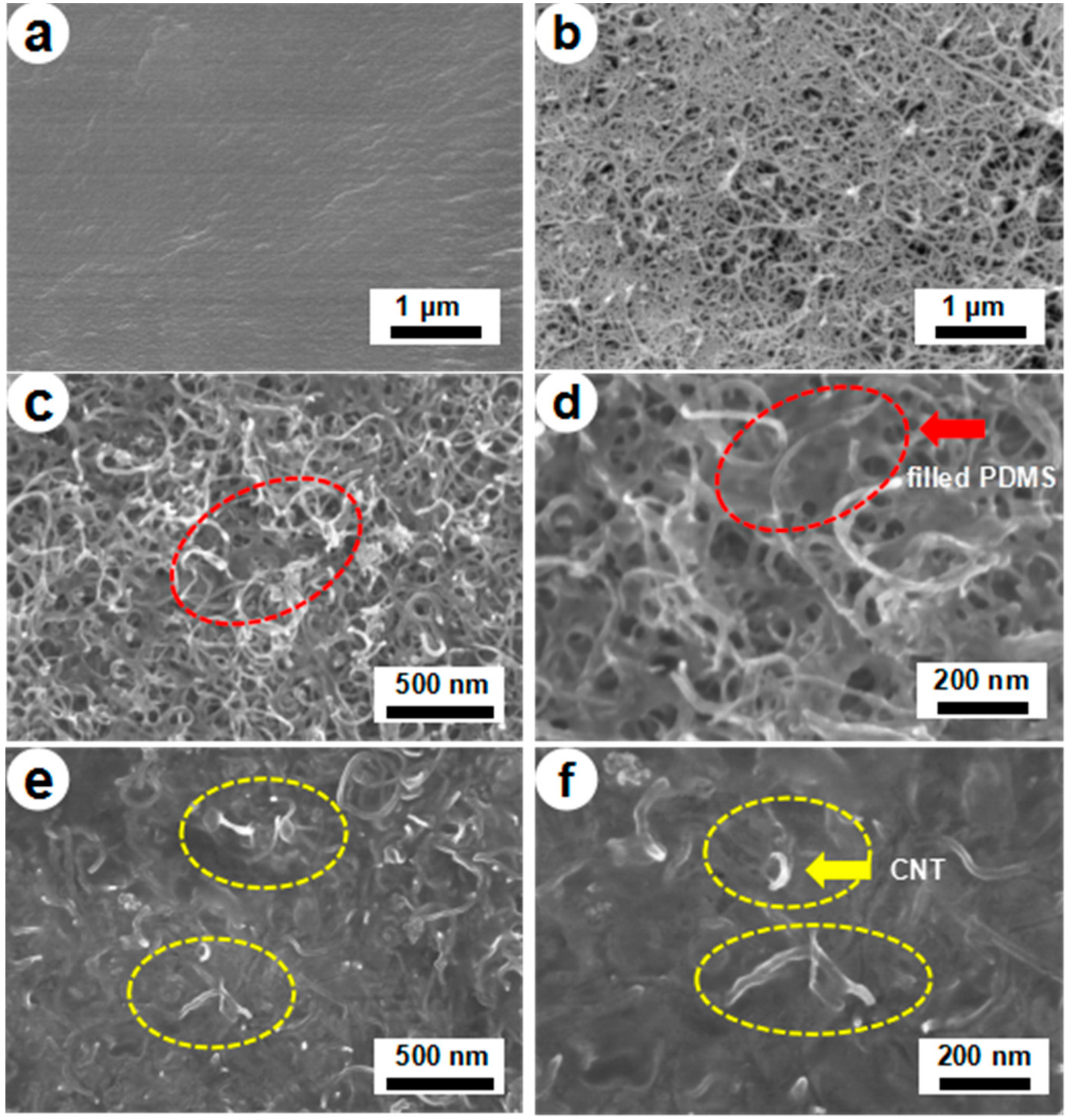 Polymers 10 01000 g002