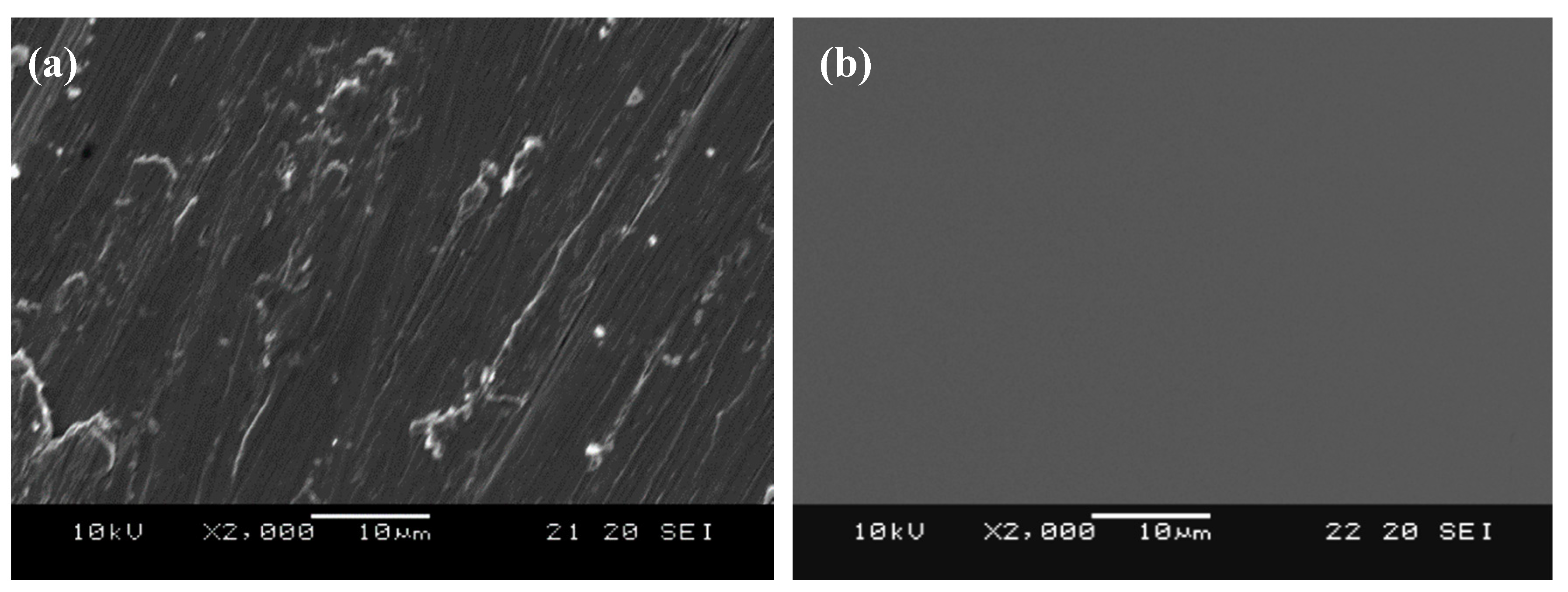 Polymers 10 01009 g002