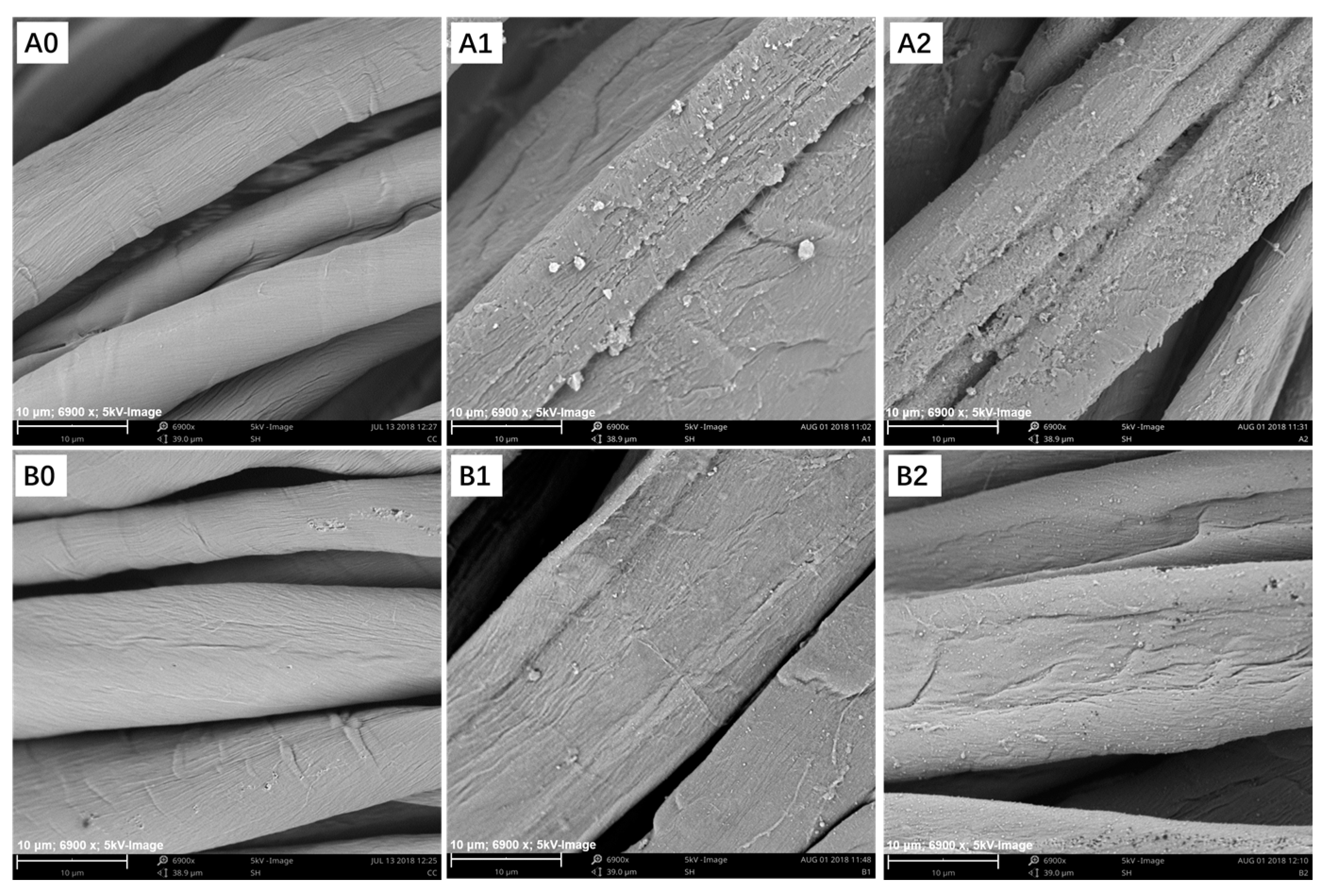 Polymers 10 01023 g005