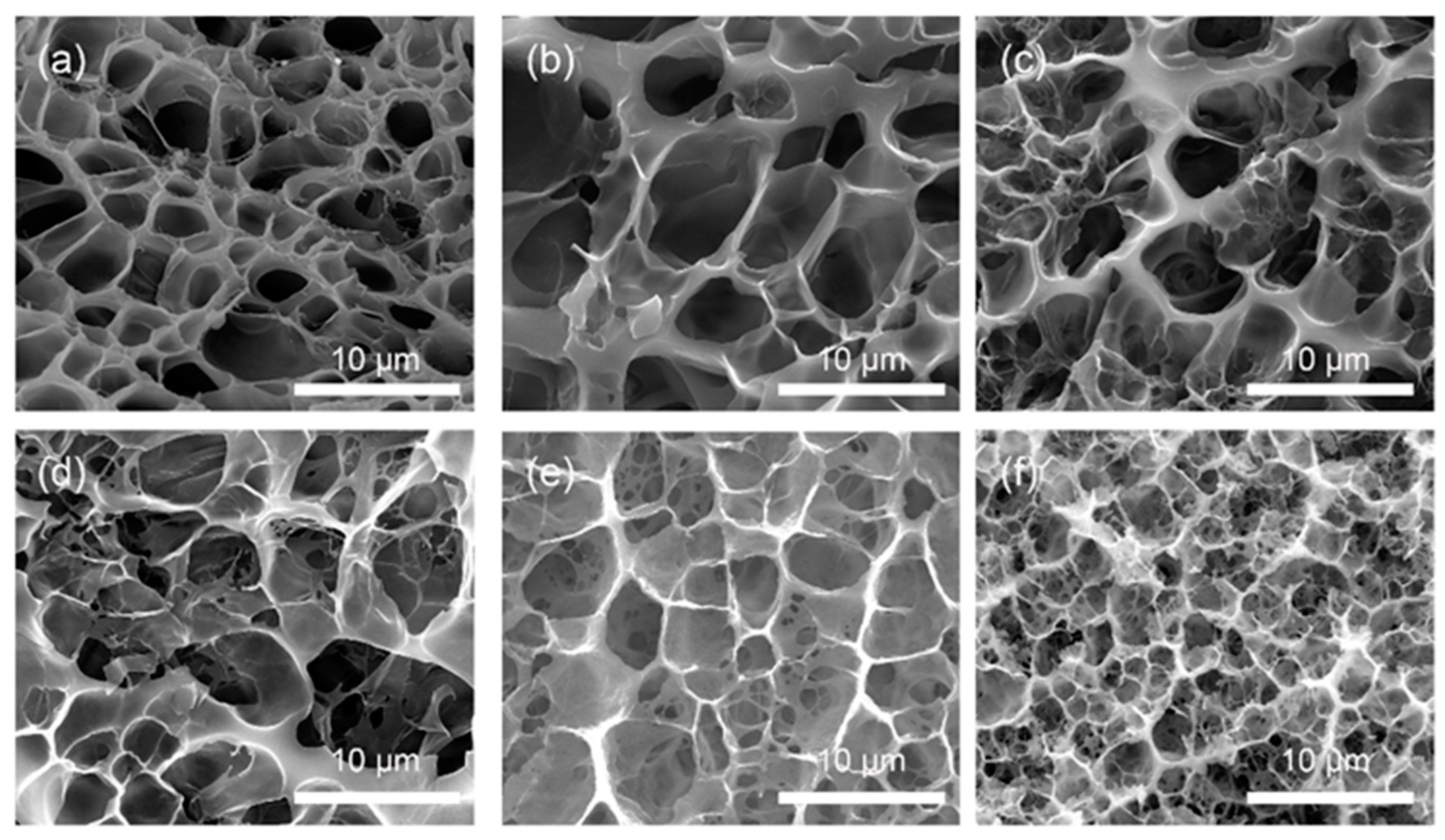 Polymers 10 01025 g001 Polymers 10 01025 g001