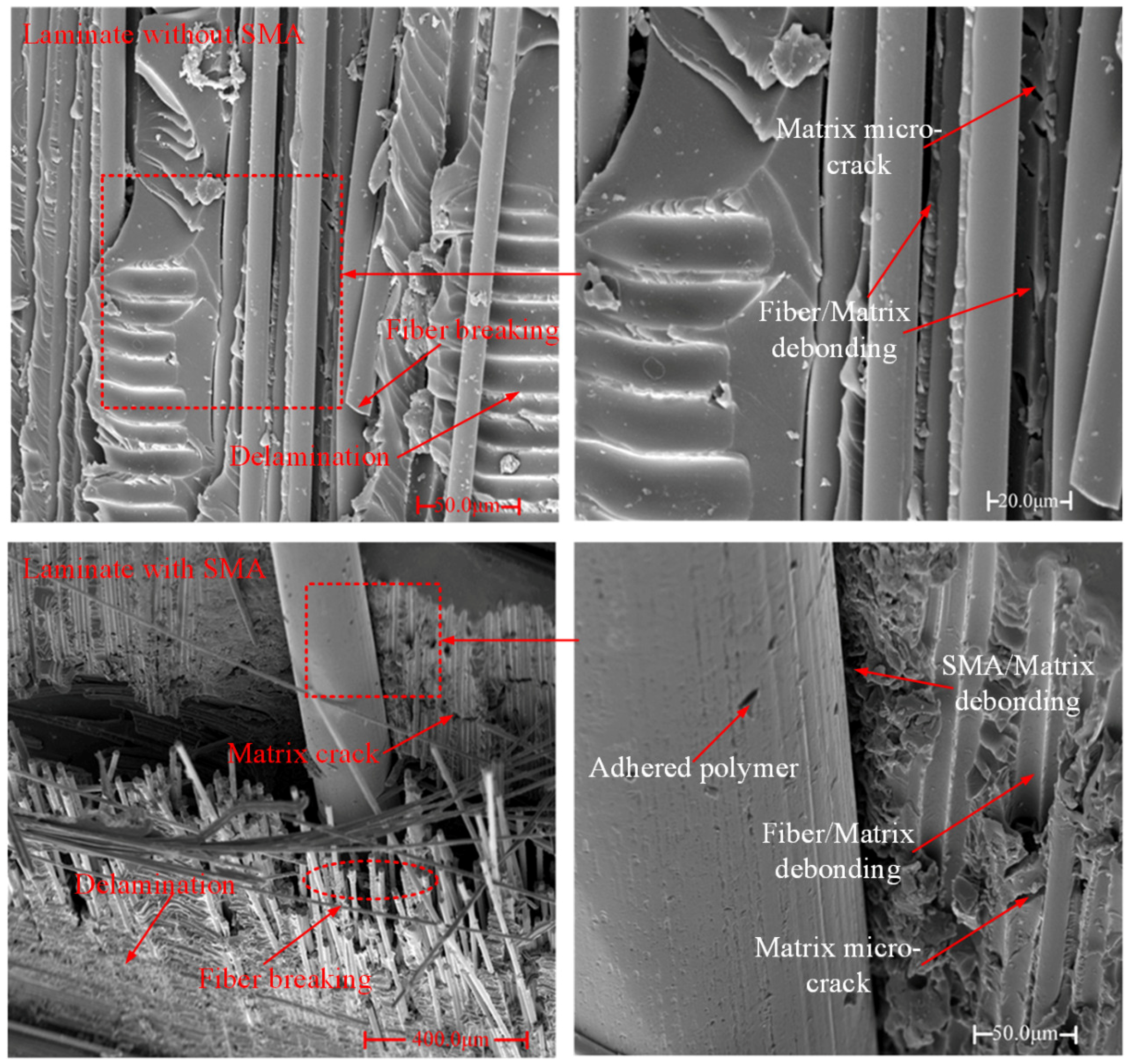 Polymers 10 01026 g008