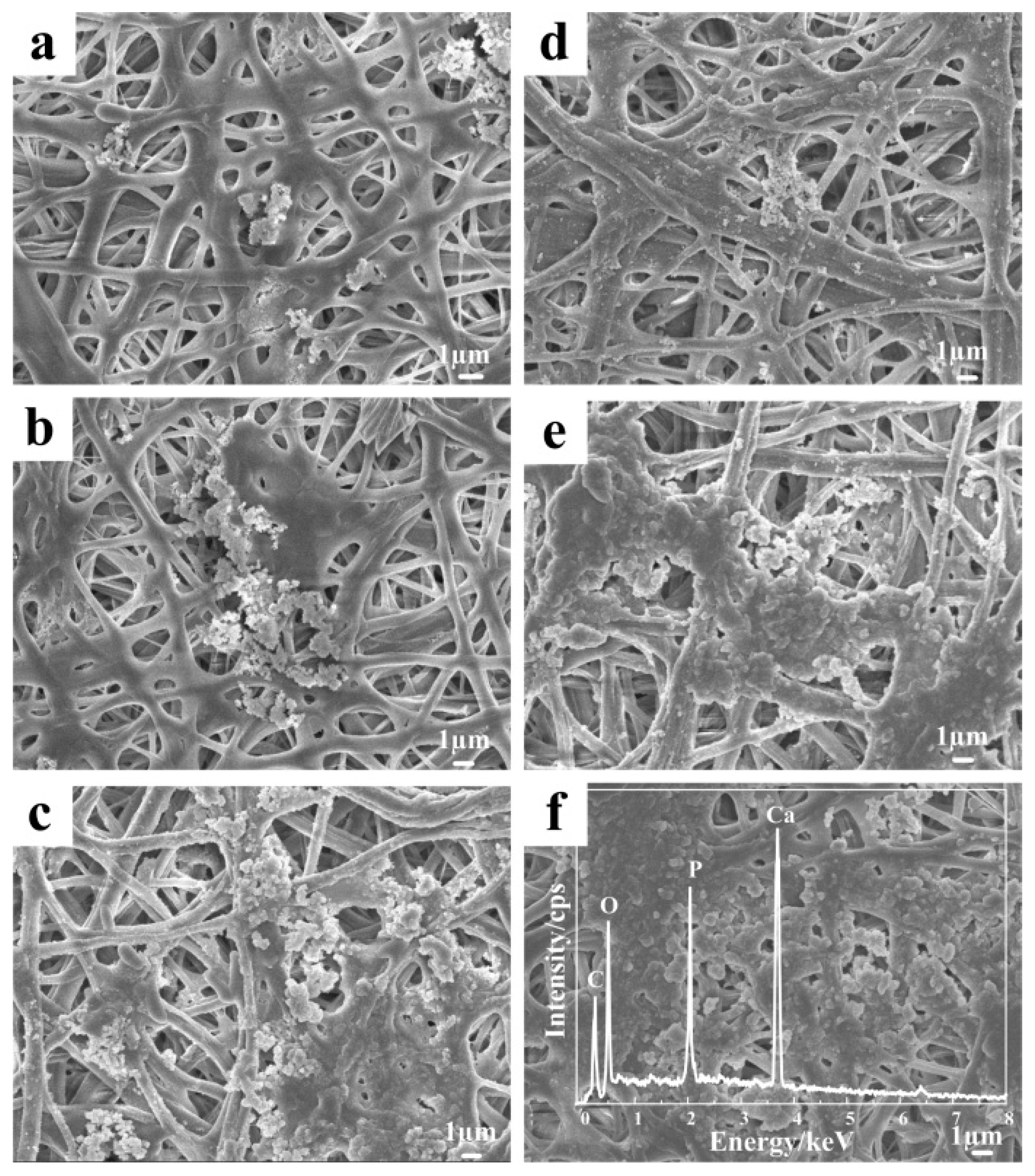 Polymers 10 01032 g007