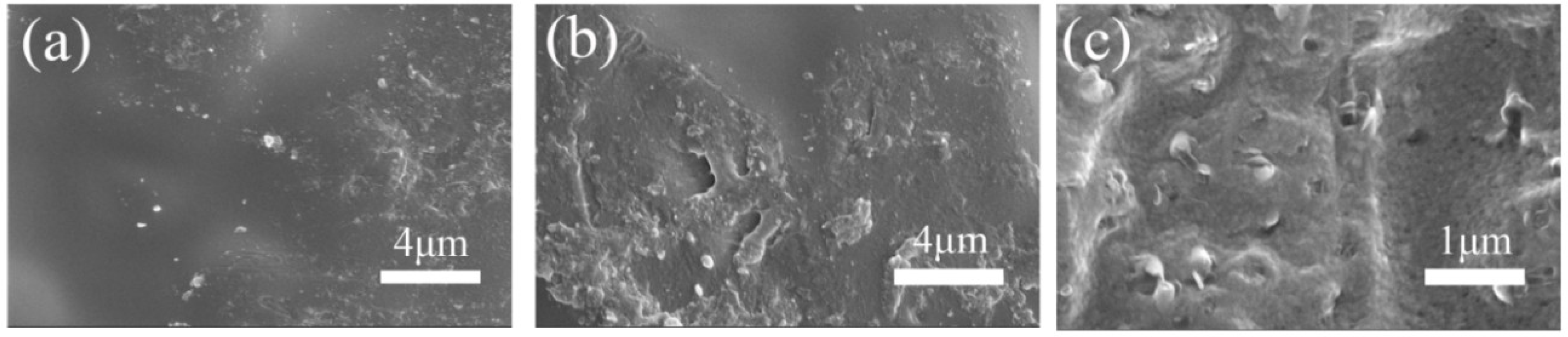 Polymers 10 01037 g002 Polymers 10 01037 g002