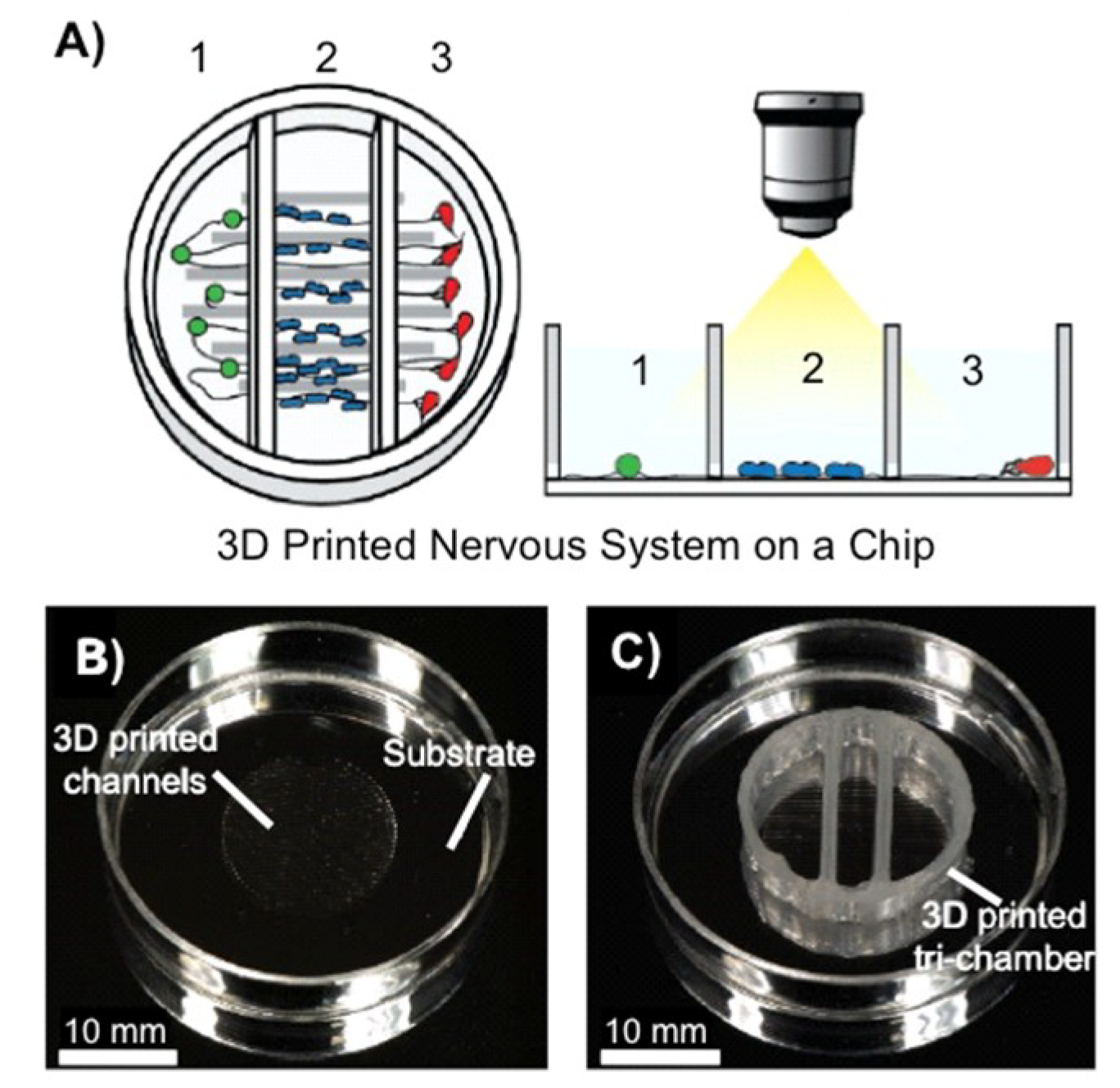 Polymers 10 01041 g005