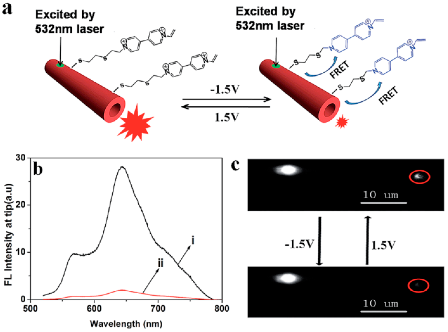 Polymers 10 01086 g013