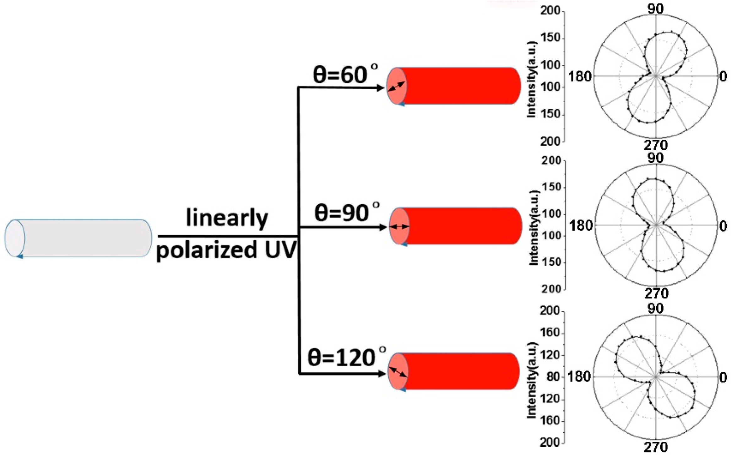 Polymers 10 01086 g014