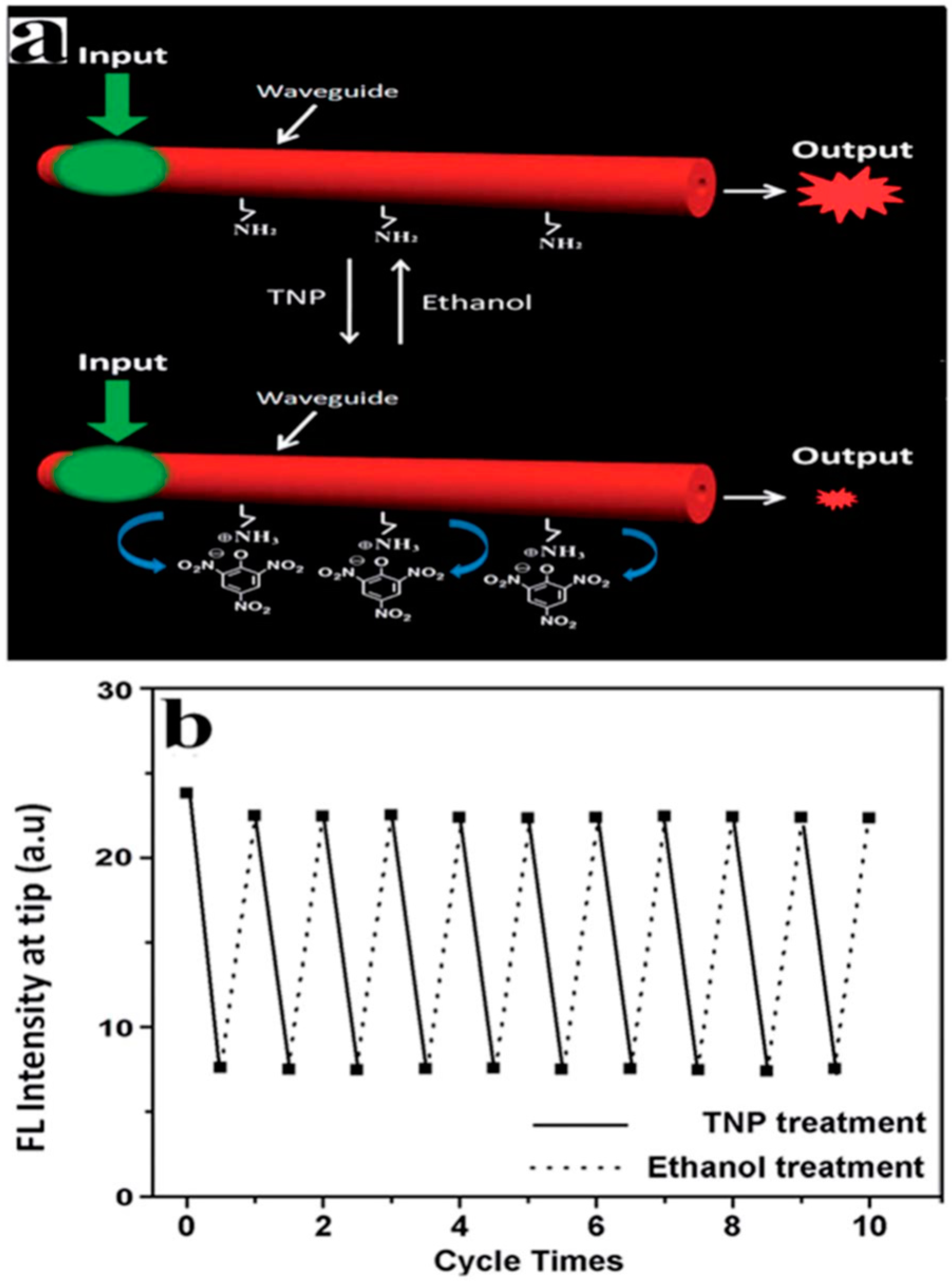 Polymers 10 01086 g016