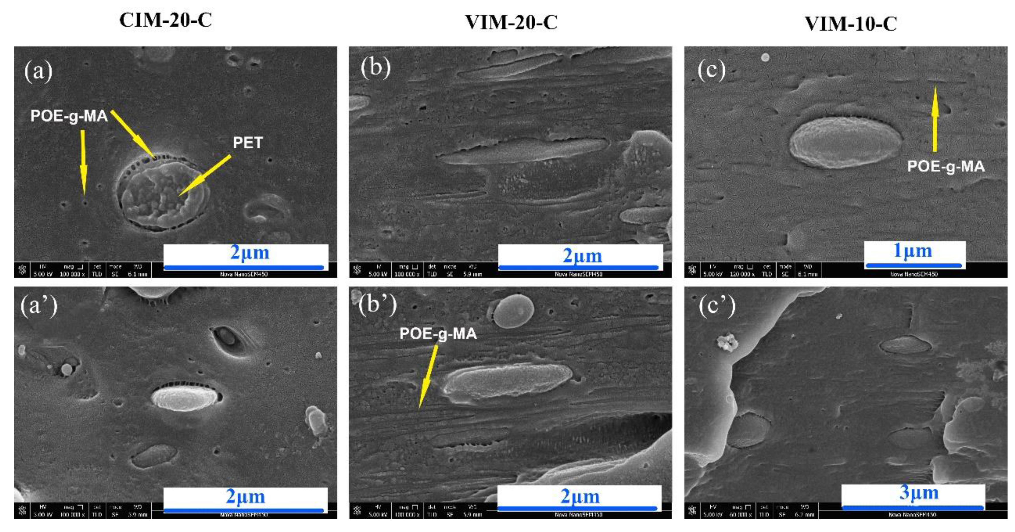 Polymers 10 01094 g008