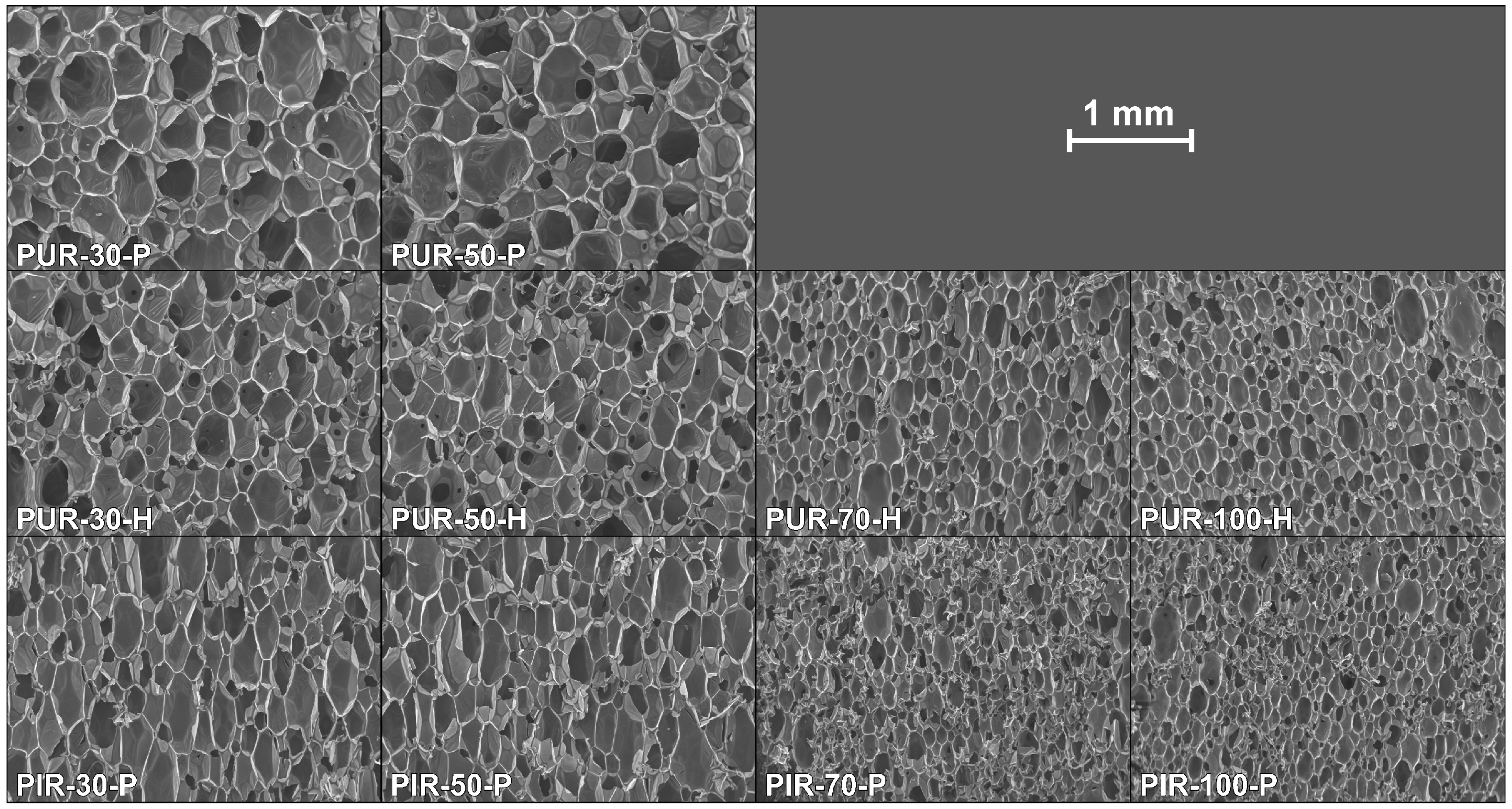 Polymers 10 01166 g001