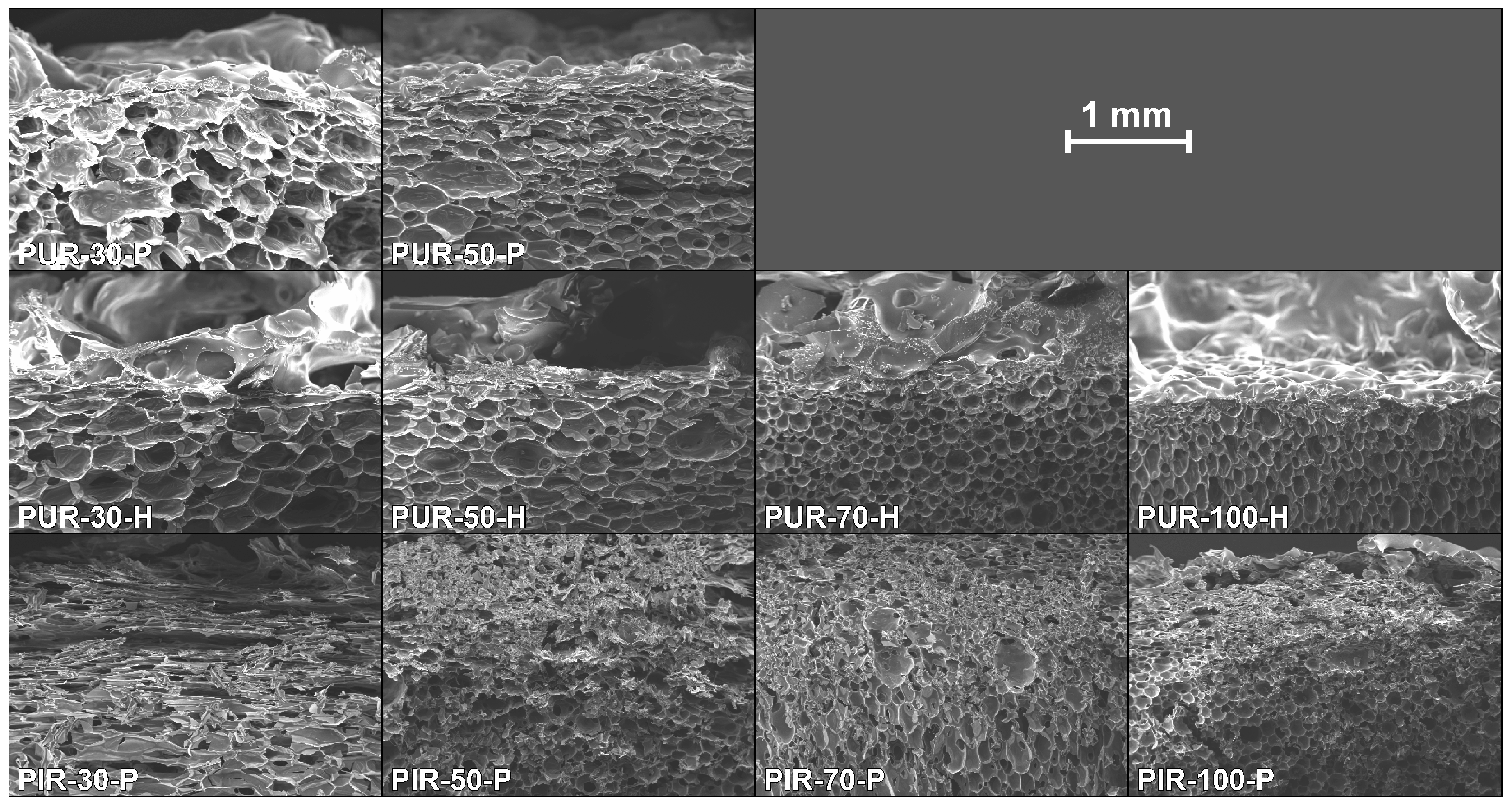 Polymers 10 01166 g012