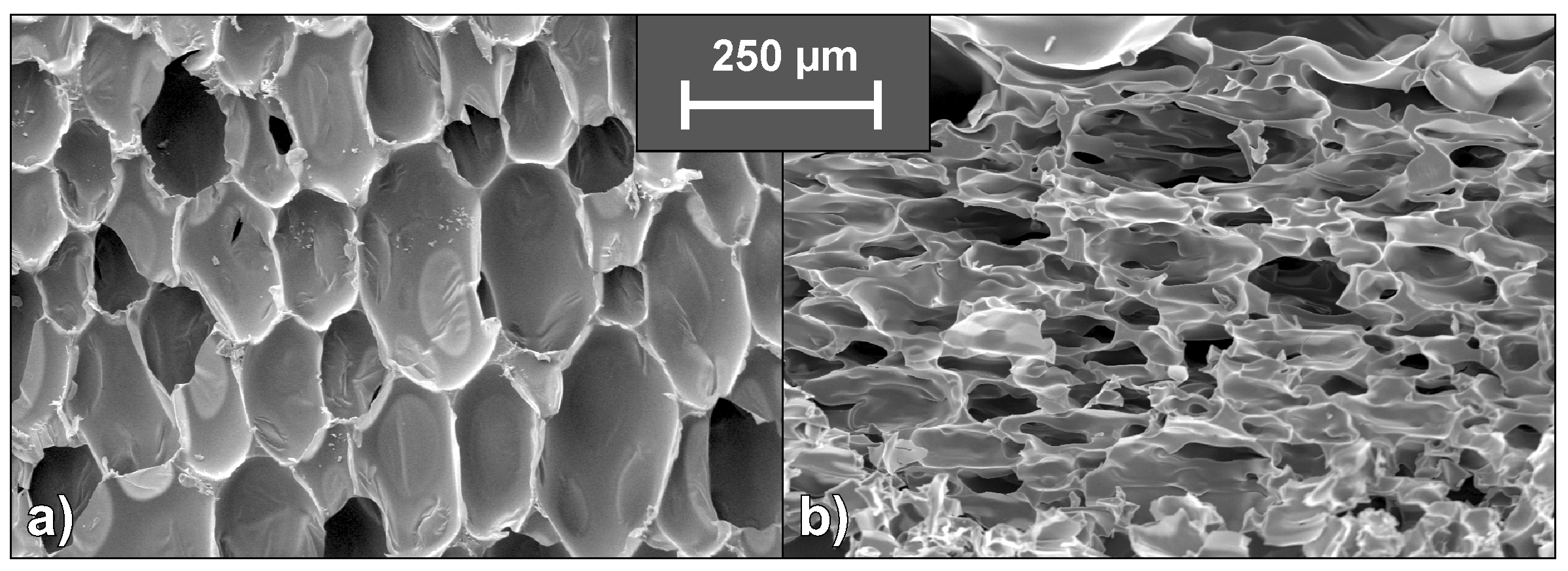Polymers 10 01166 g013