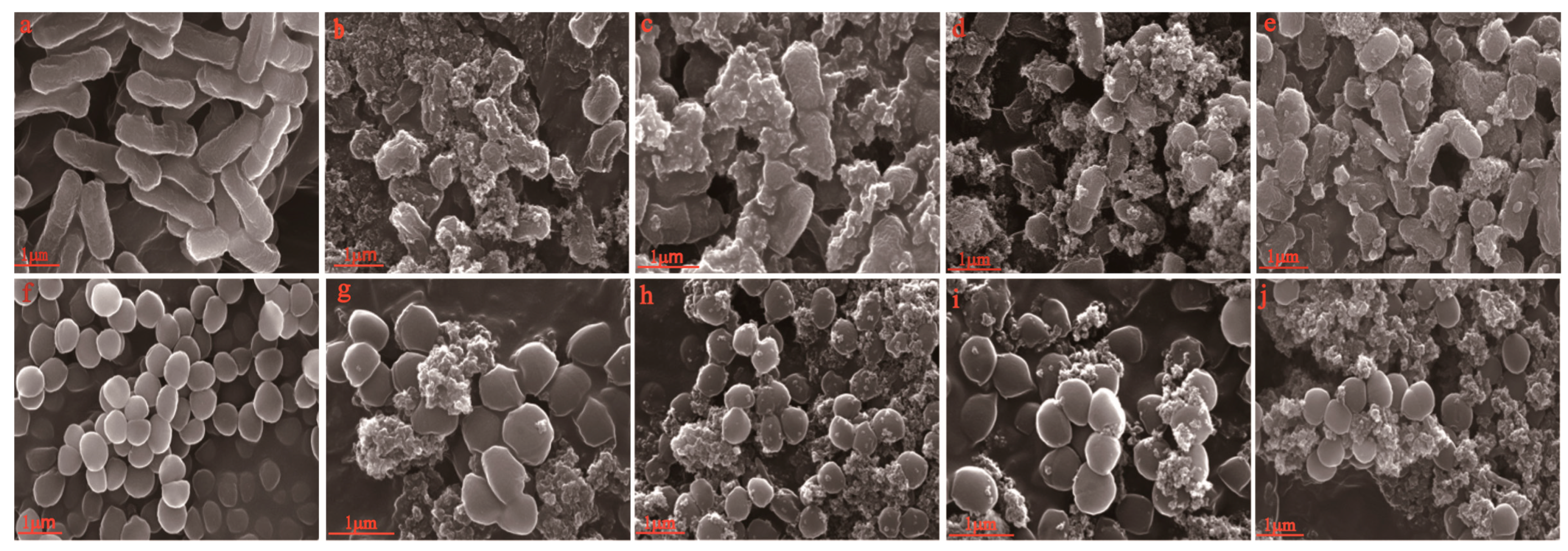 Polymers 10 01172 g007