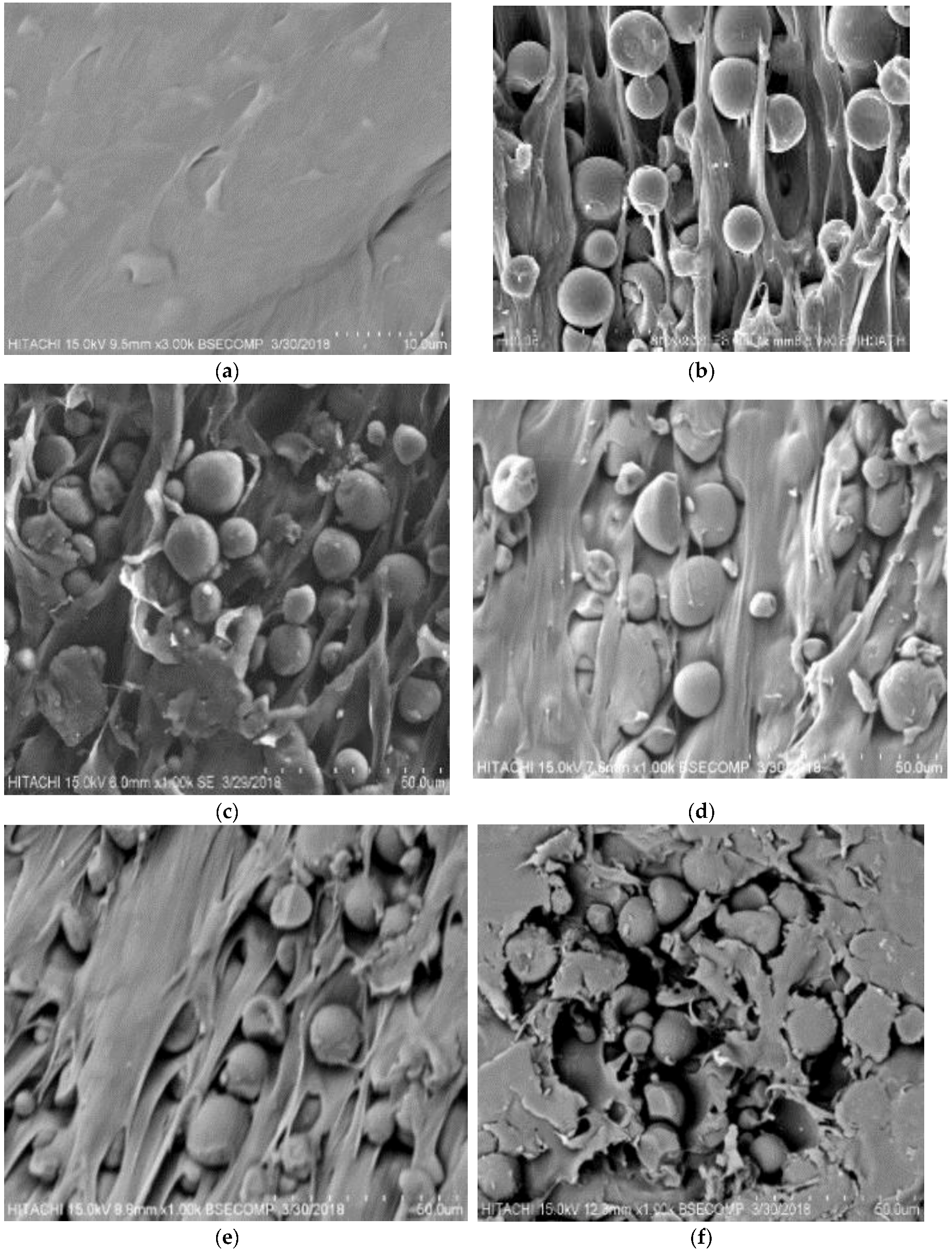 Polymers 10 01187 g004 Polymers 10 01187 g004