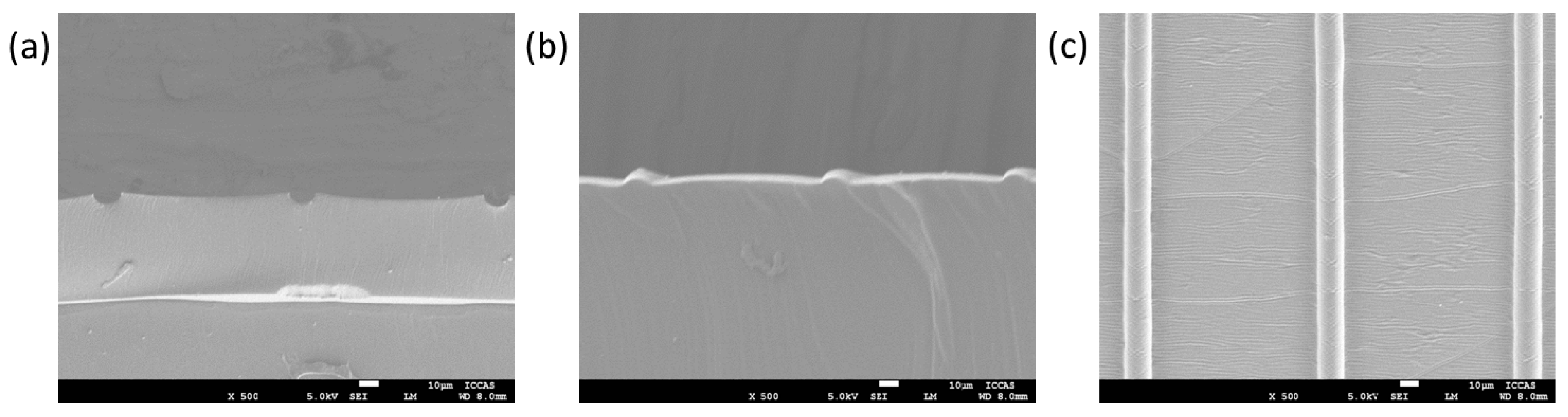 Polymers 10 01209 g002