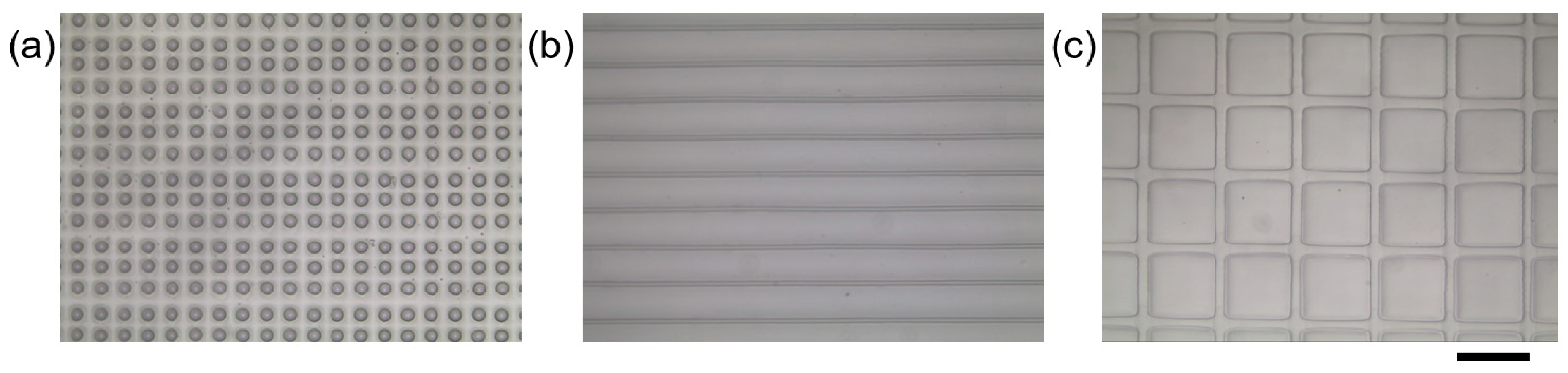 Polymers 10 01209 g003