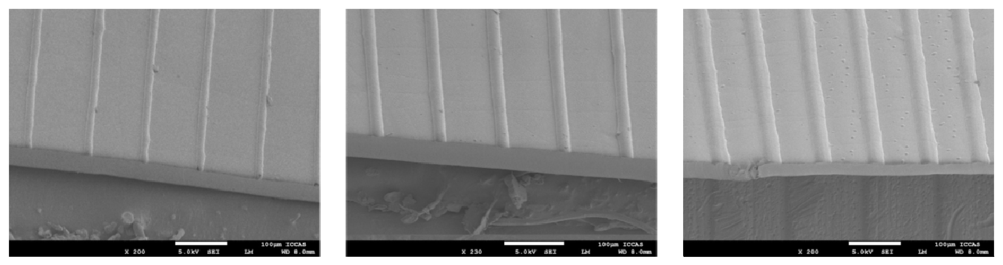 Polymers 10 01209 g006