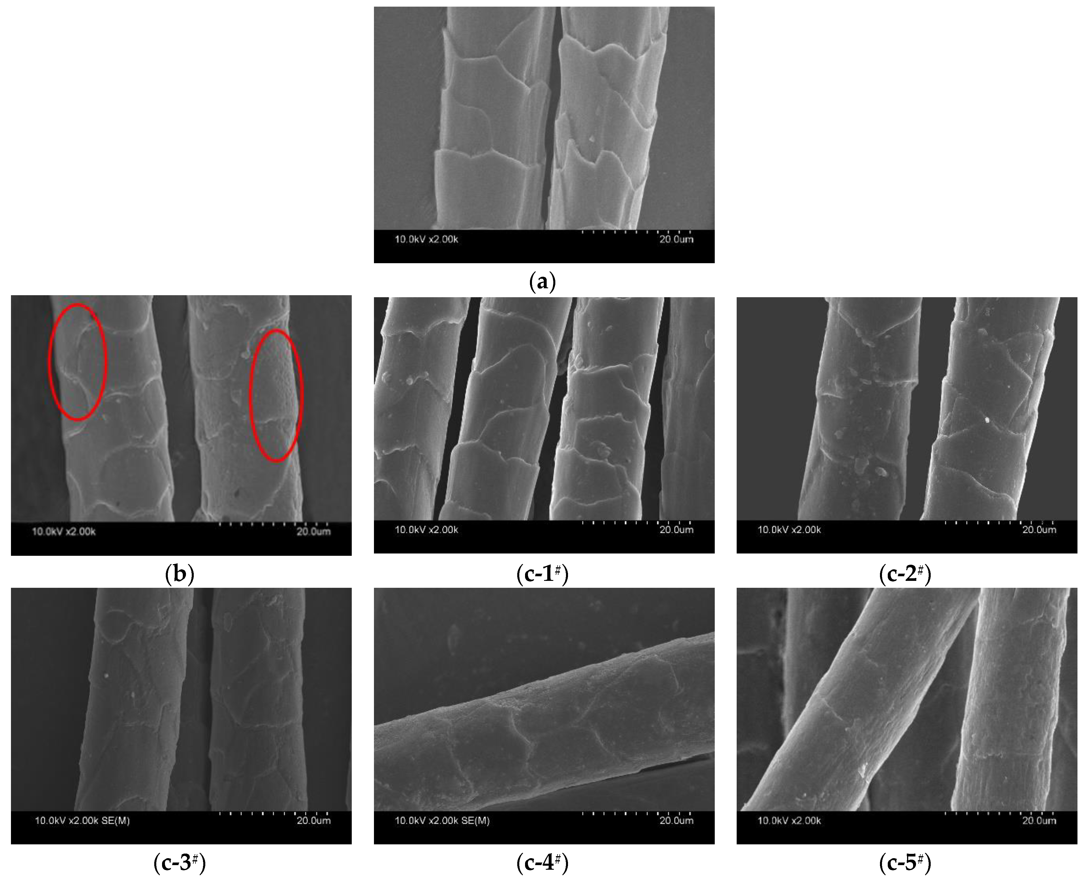 Polymers 10 01213 g003 Polymers 10 01213 g003