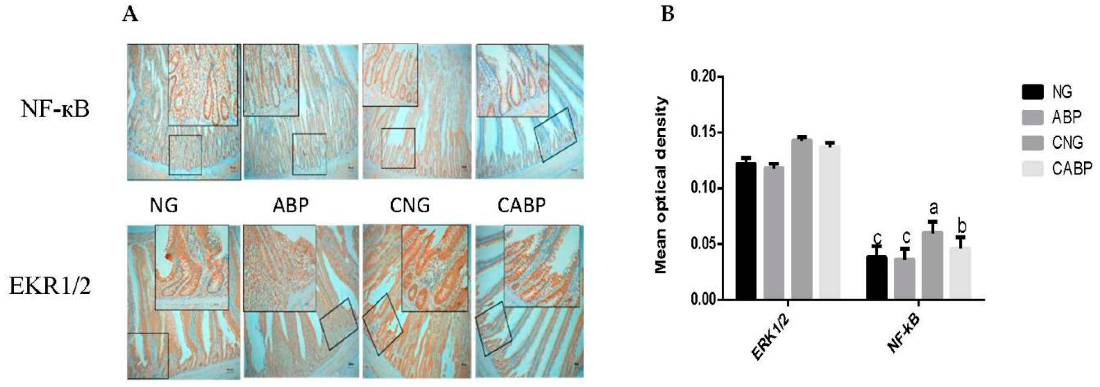 Polymers 10 01233 g002