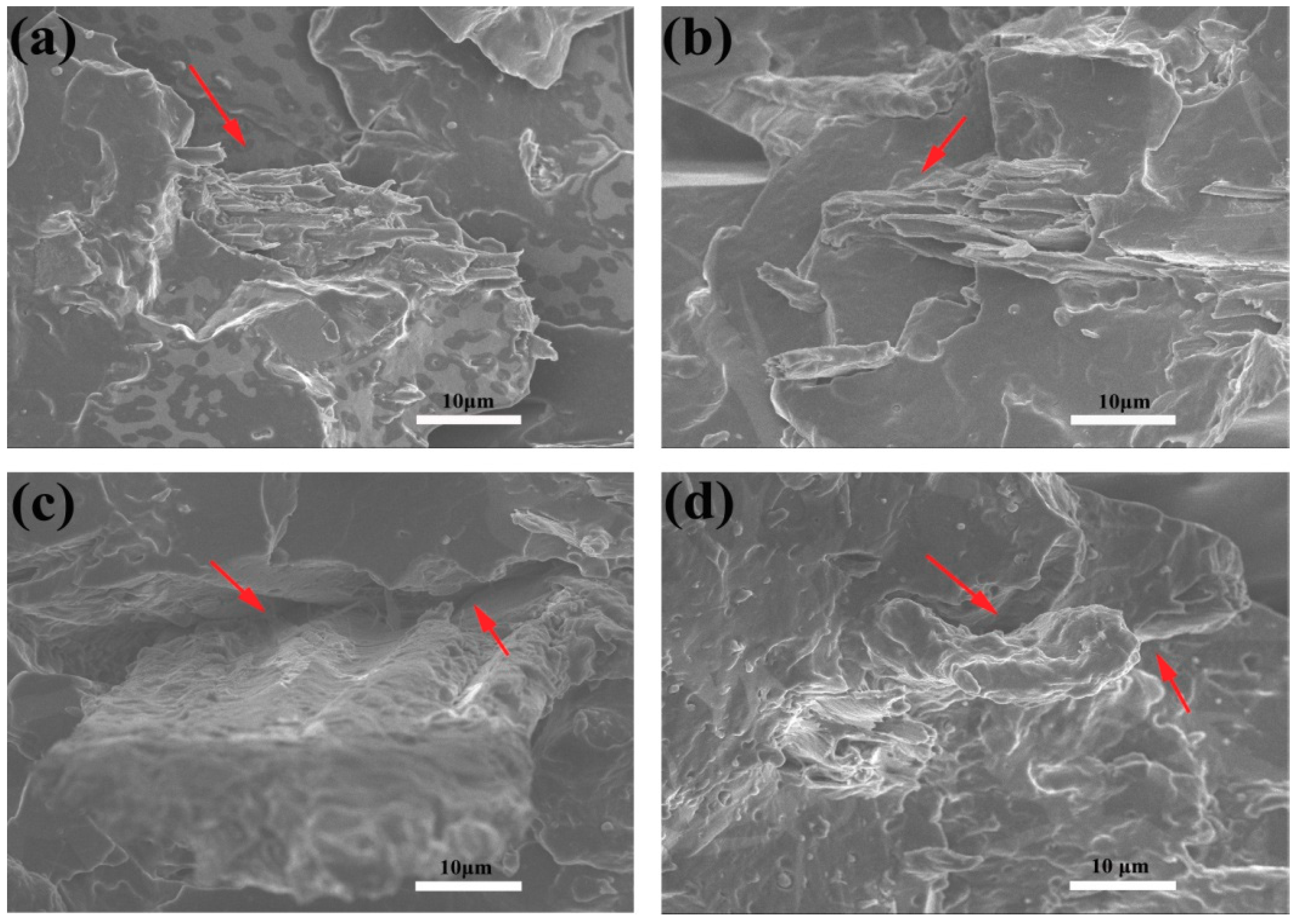 Polymers 10 01234 g002