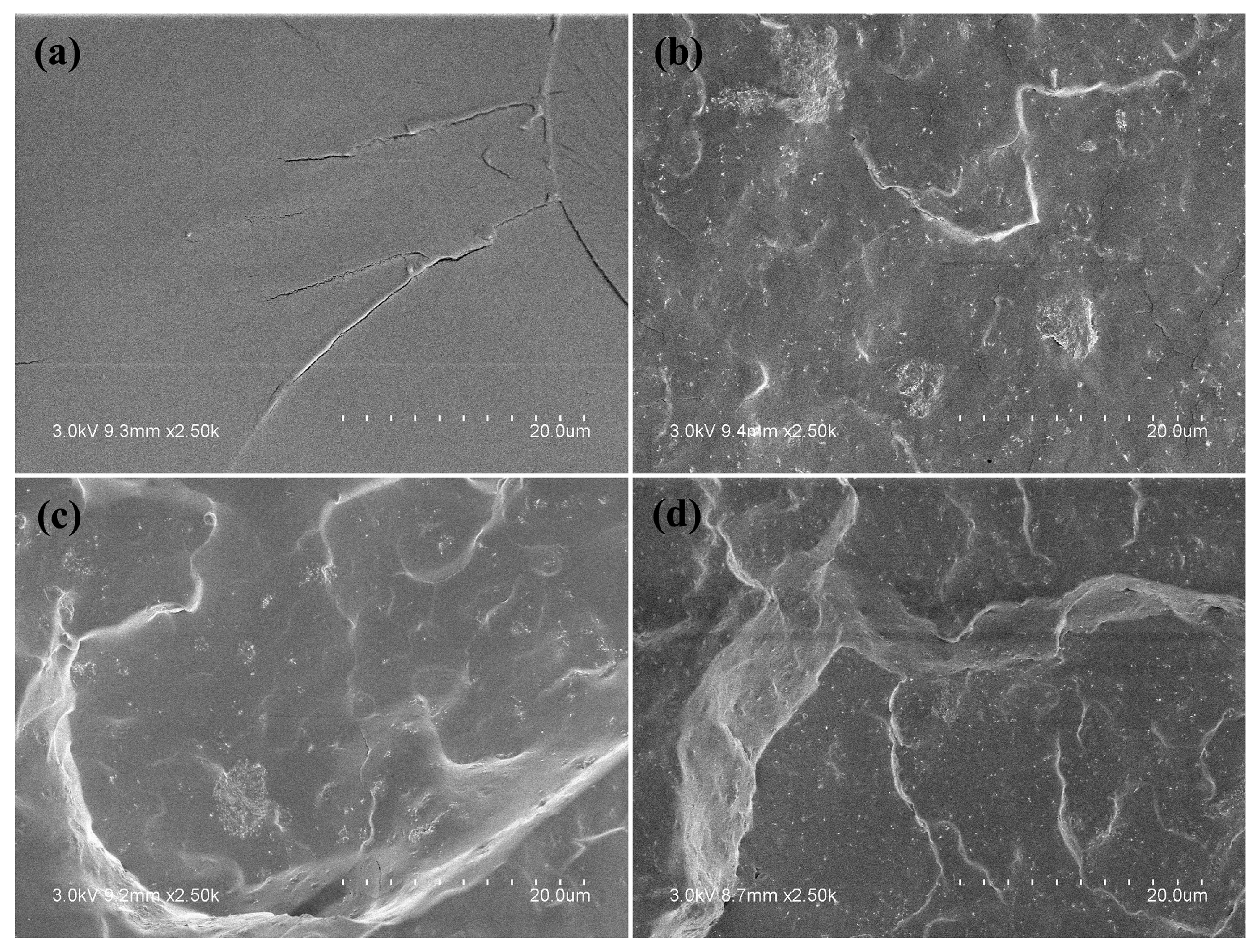 Polymers 10 01236 g005 Polymers 10 01236 g005