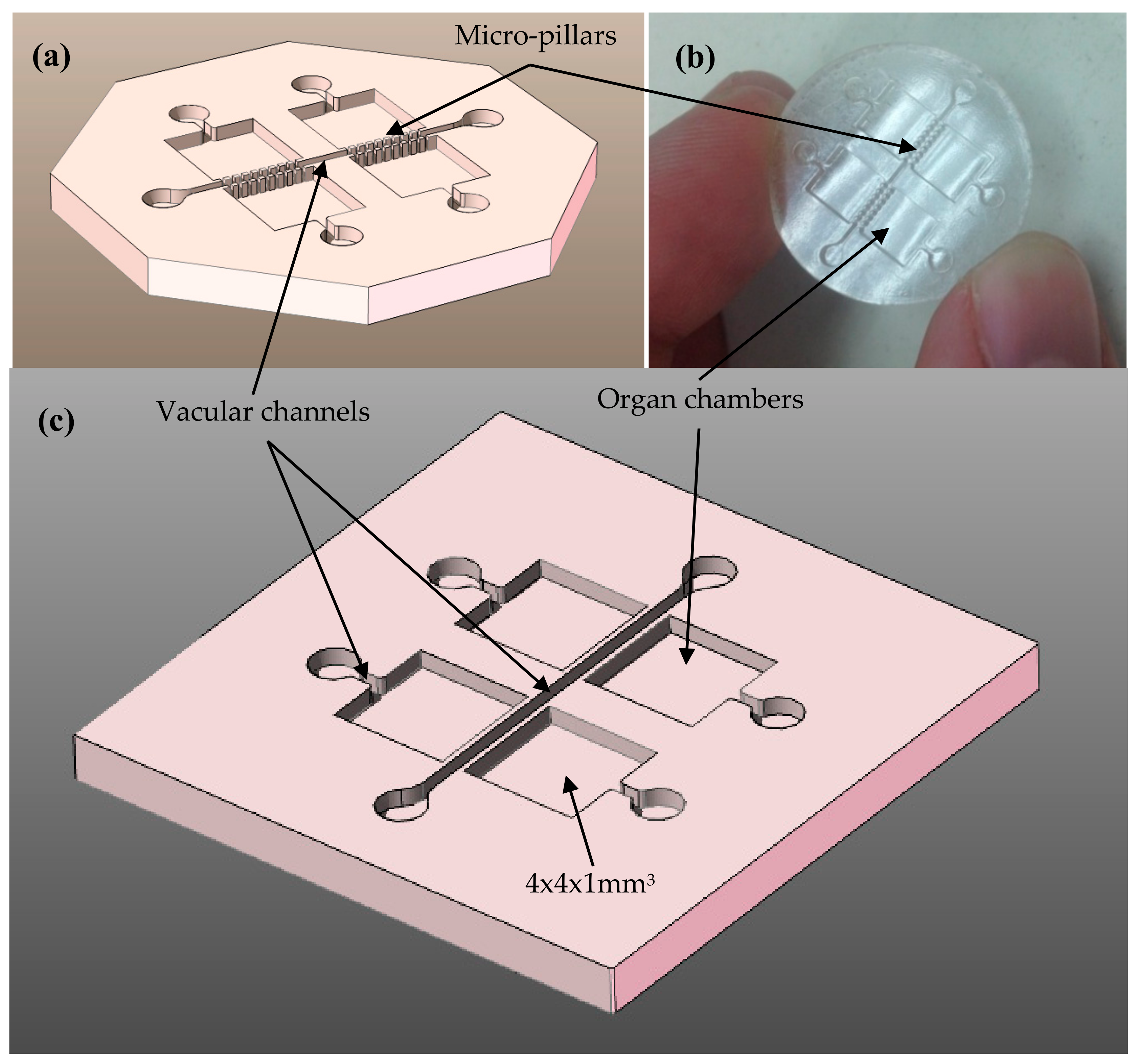 Polymers 10 01238 g001