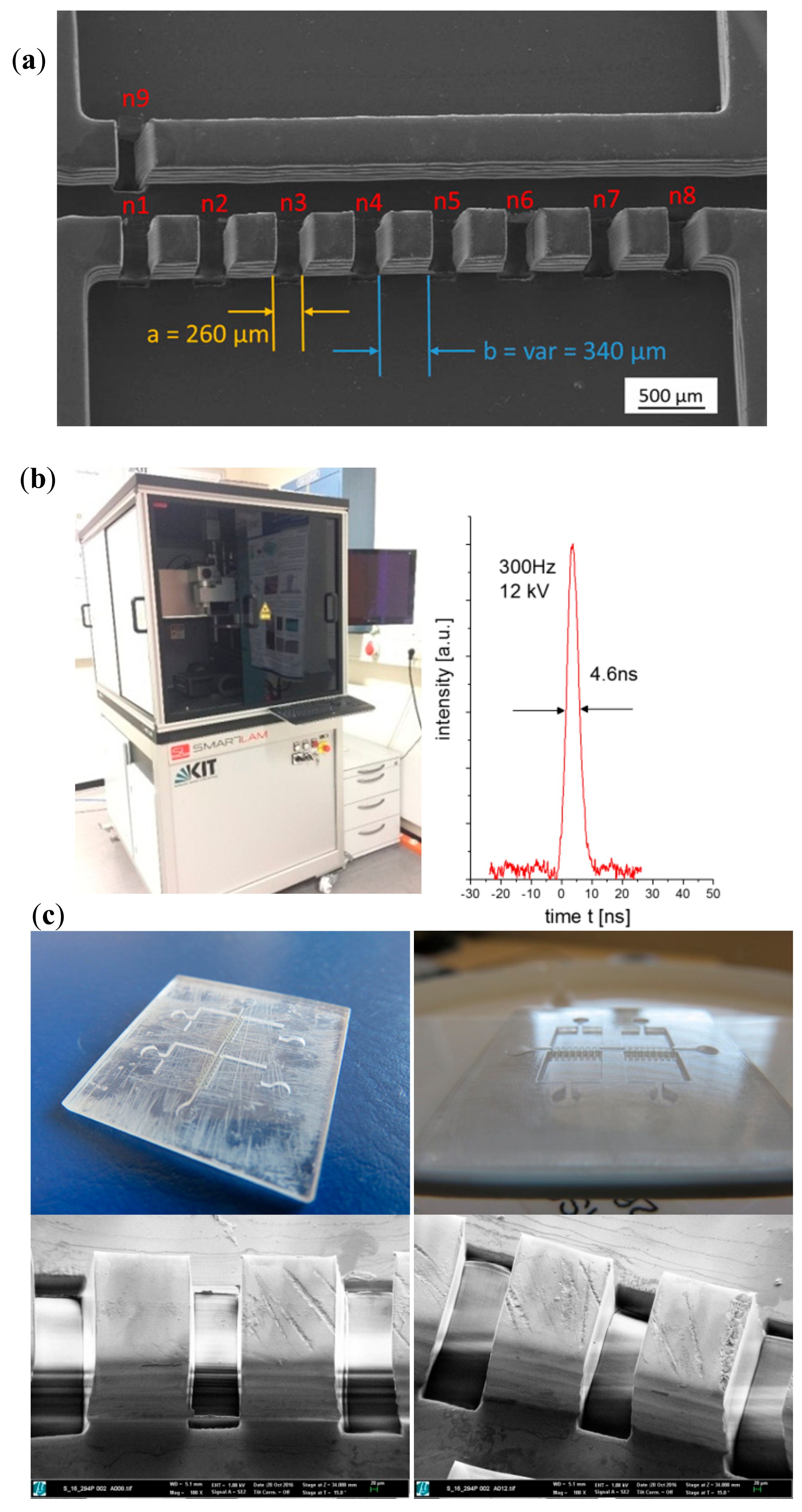 Polymers 10 01238 g002