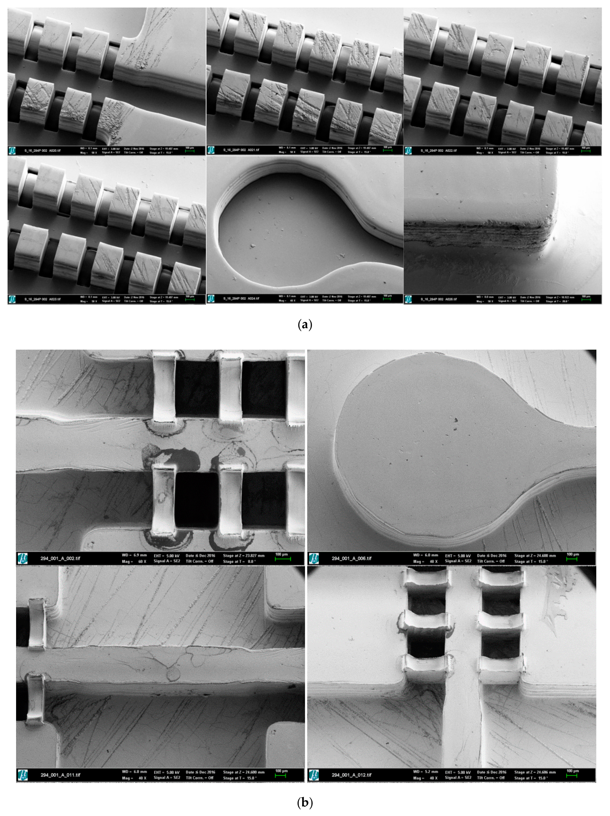 Polymers 10 01238 g004
