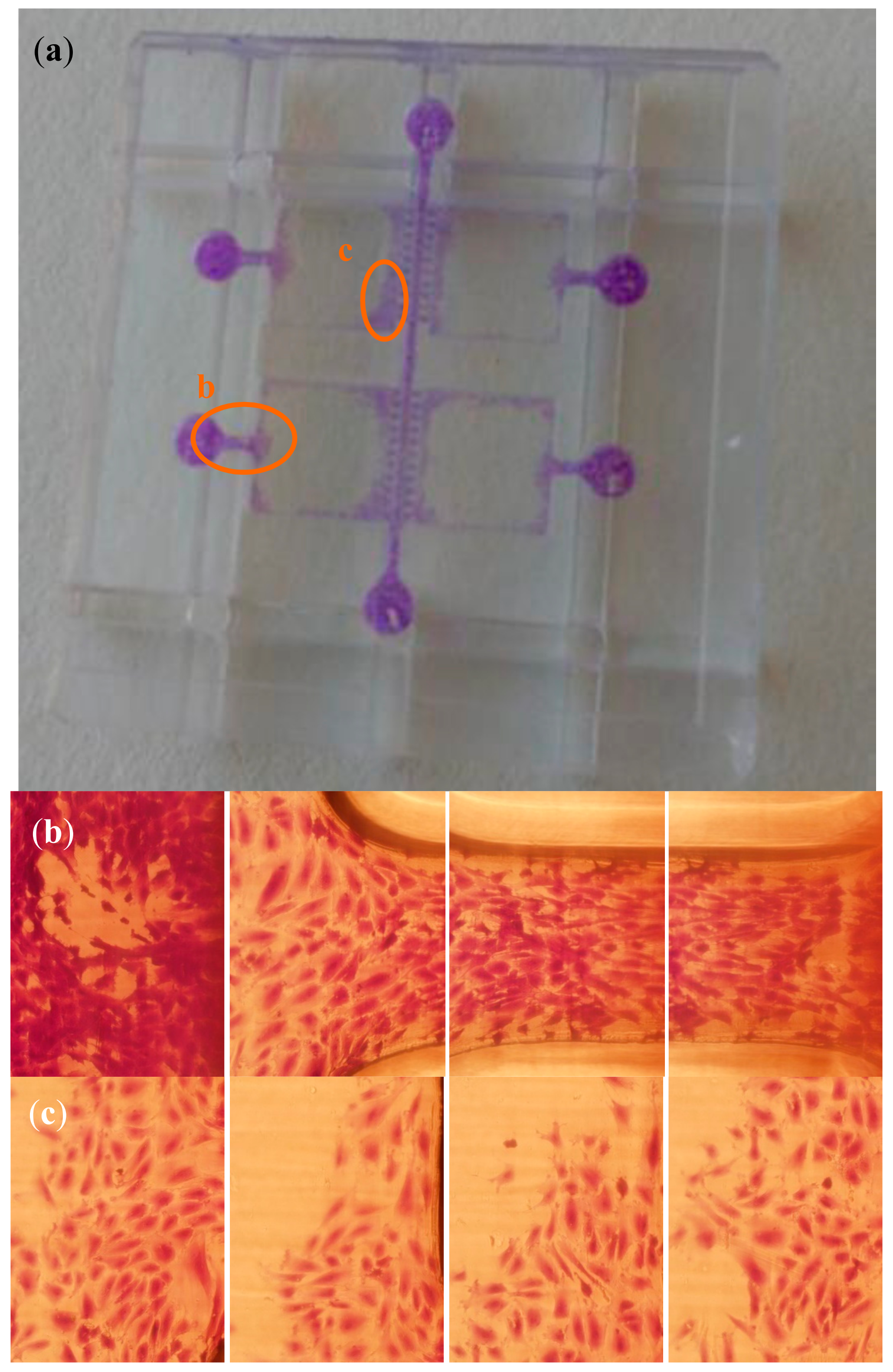 Polymers 10 01238 g007