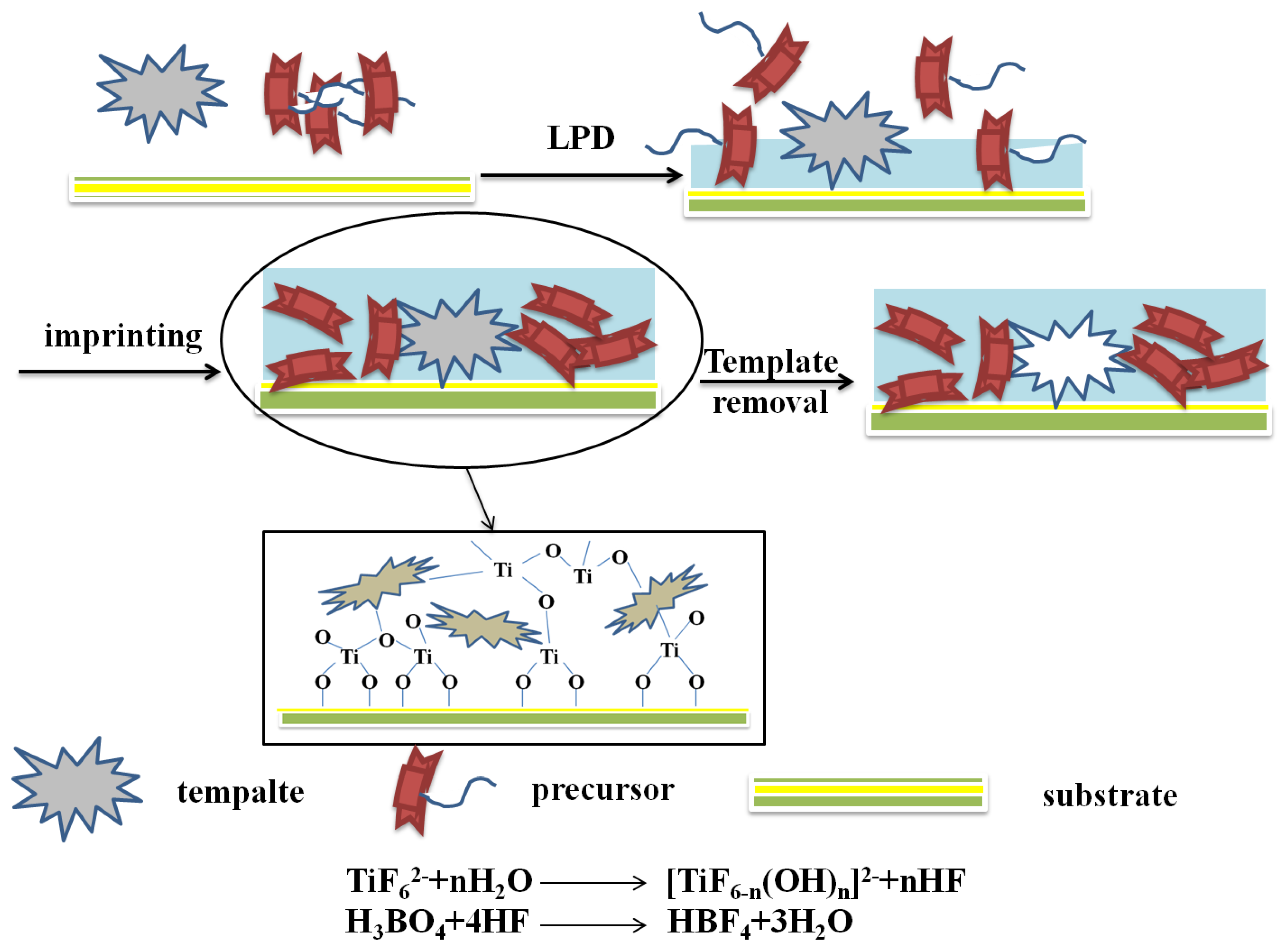 Polymers 10 01248 g005