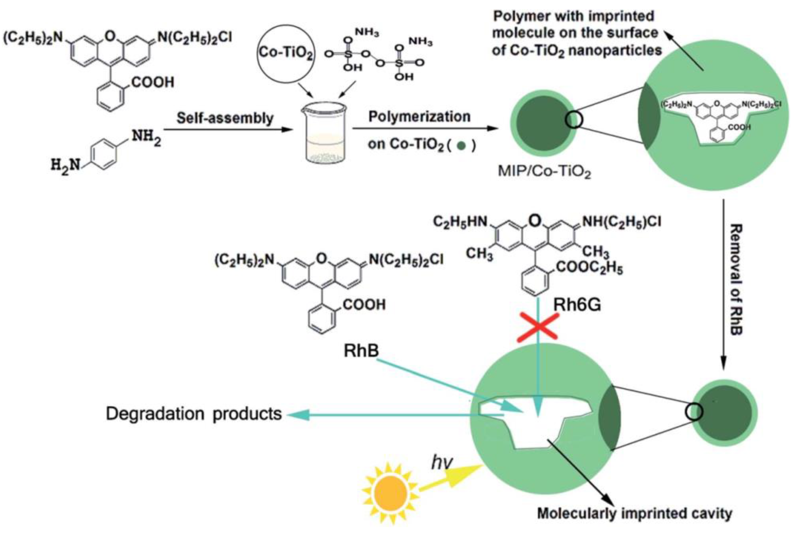 Polymers 10 01248 g008