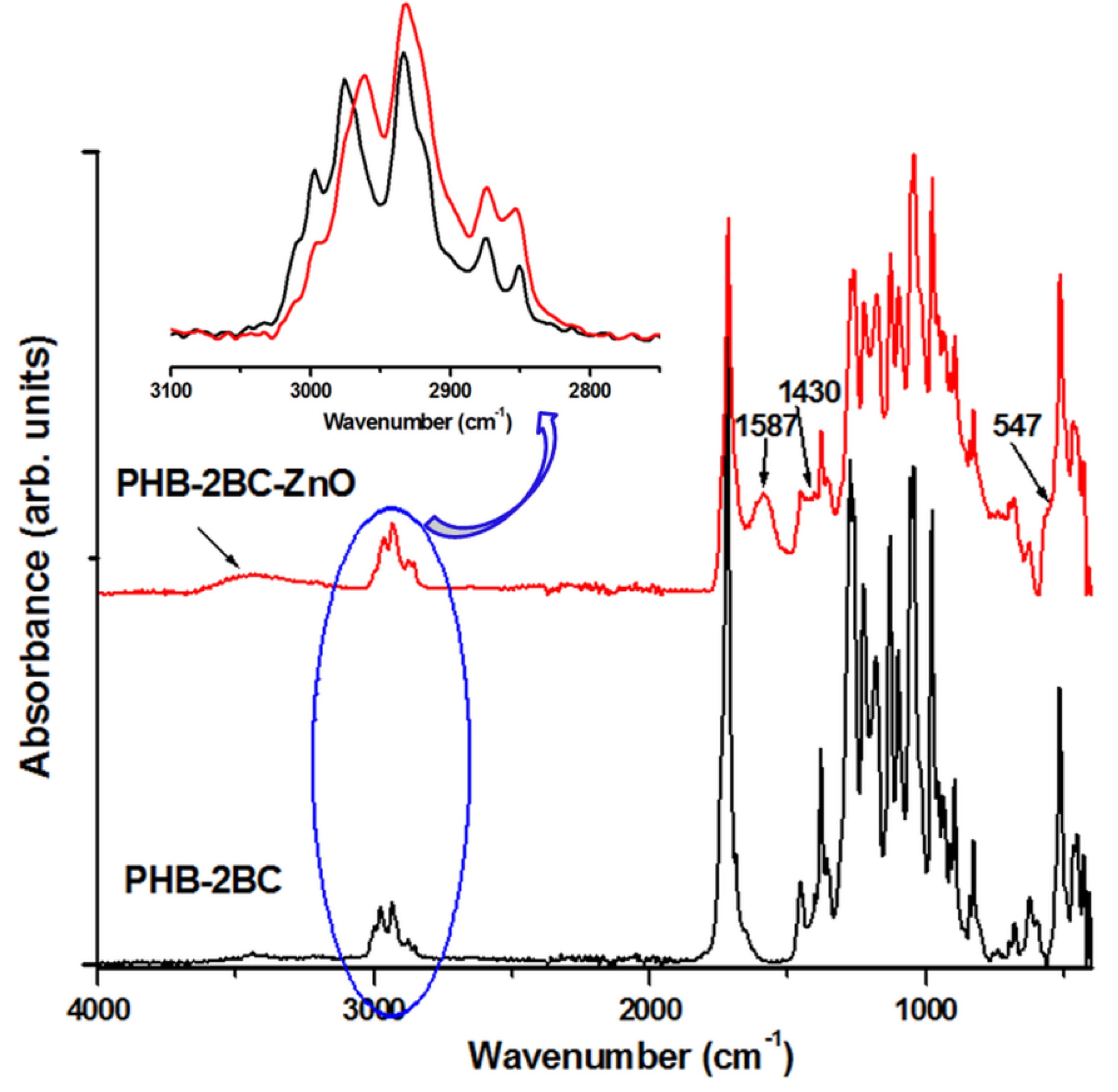 Polymers 10 01249 g005 Polymers 10 01249 g005