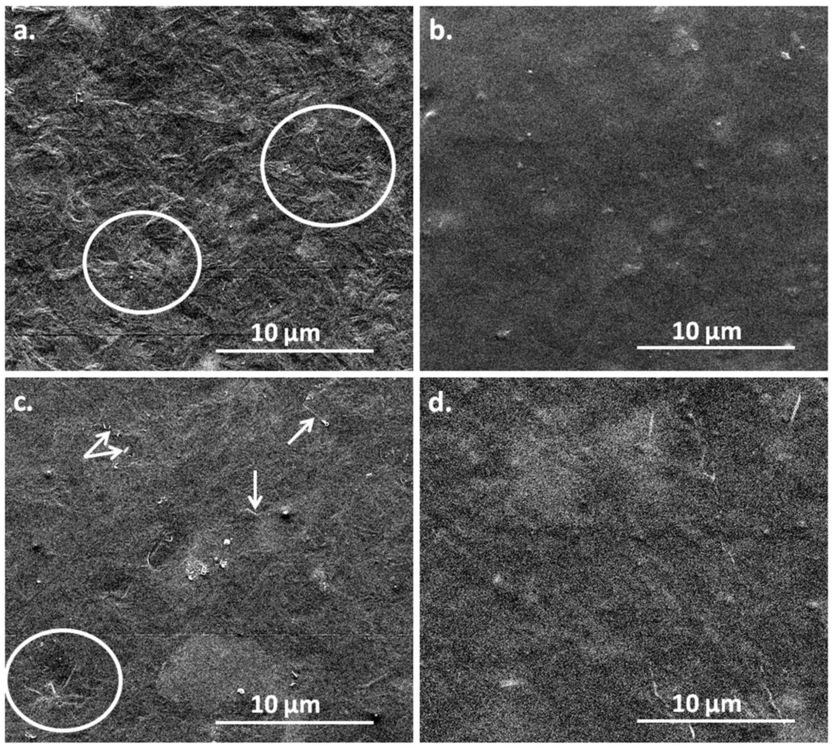 Polymers 10 01249 g010 Polymers 10 01249 g010