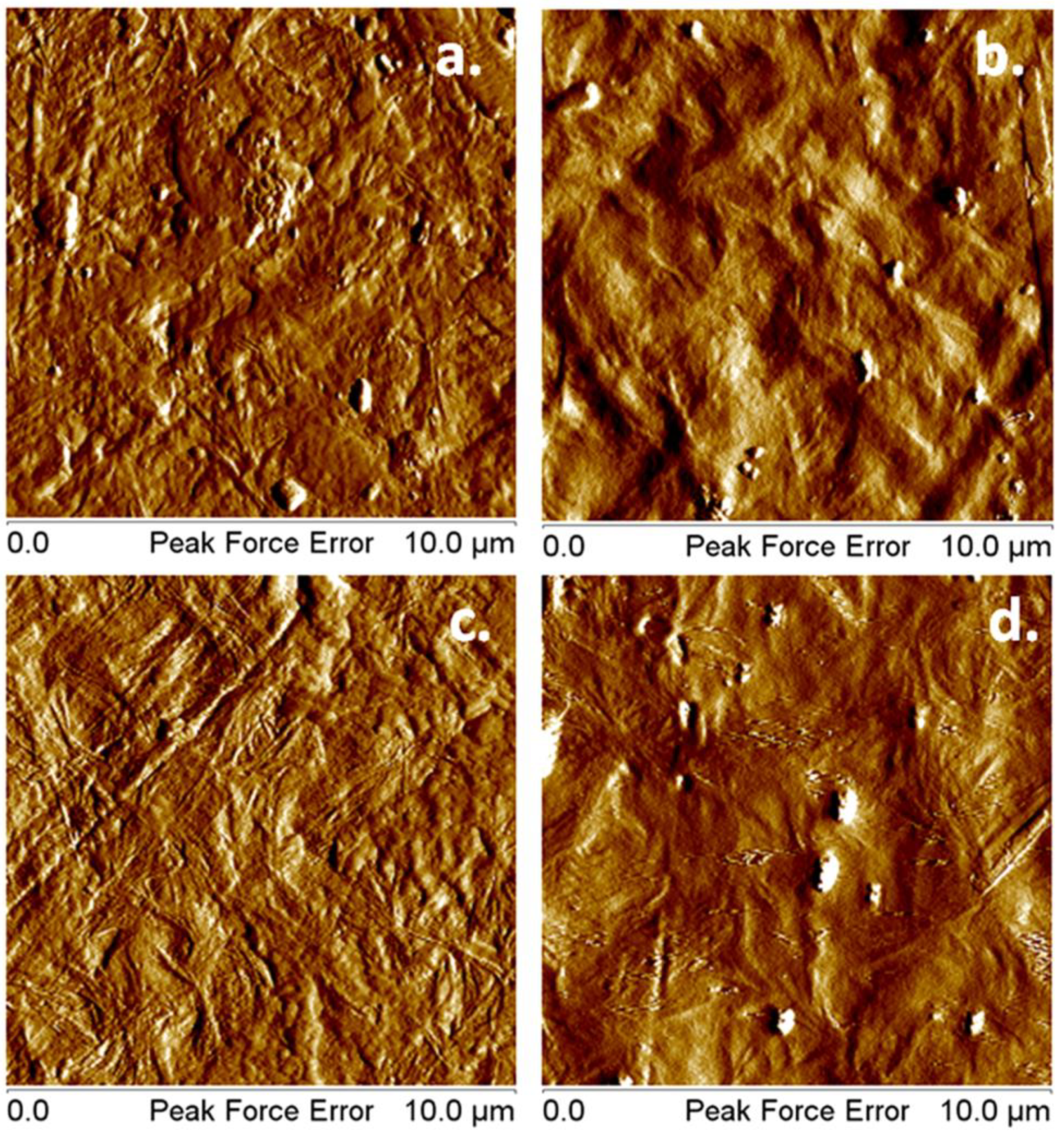 Polymers 10 01249 g011 Polymers 10 01249 g011