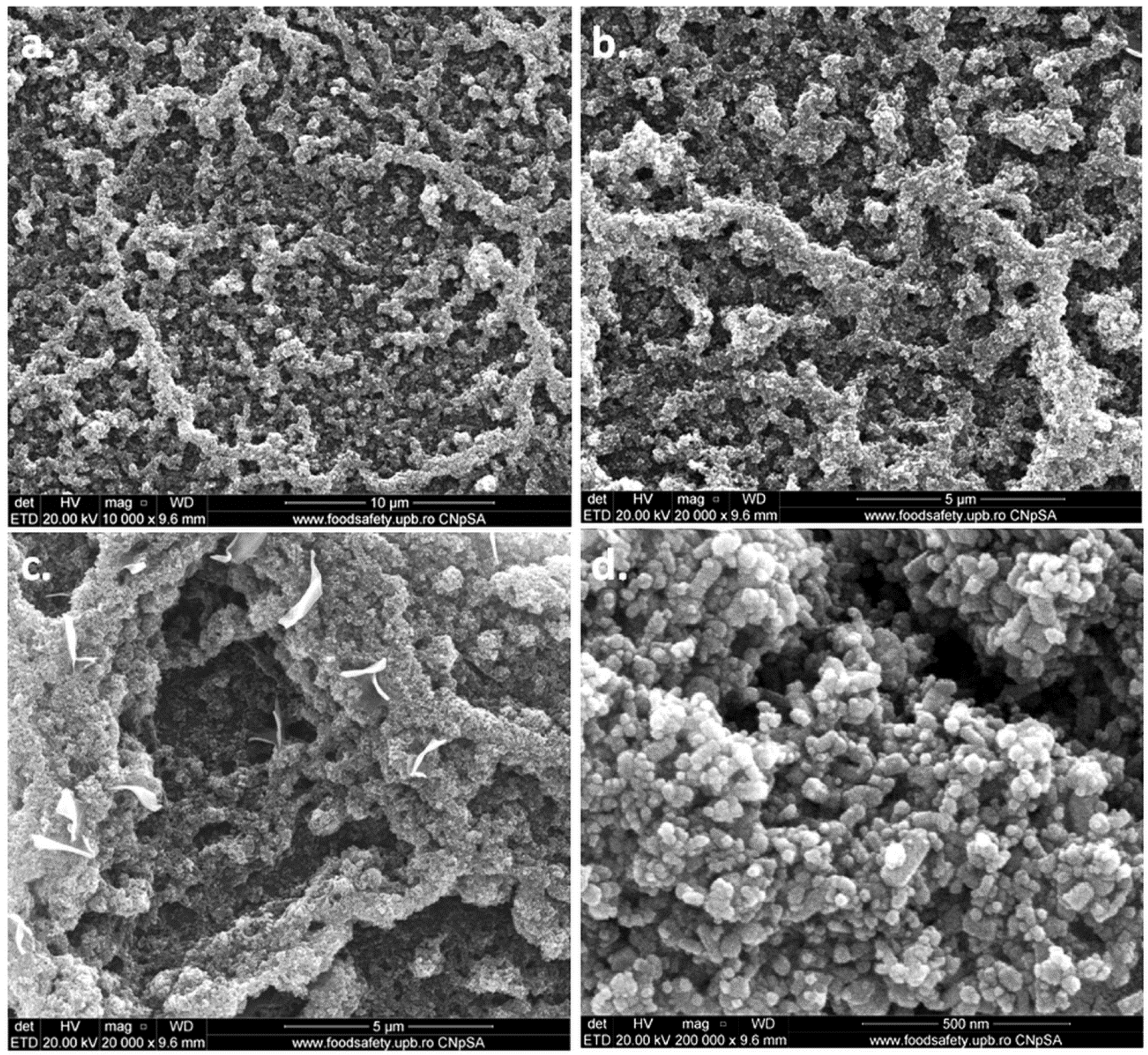 Polymers 10 01249 g013 Polymers 10 01249 g013