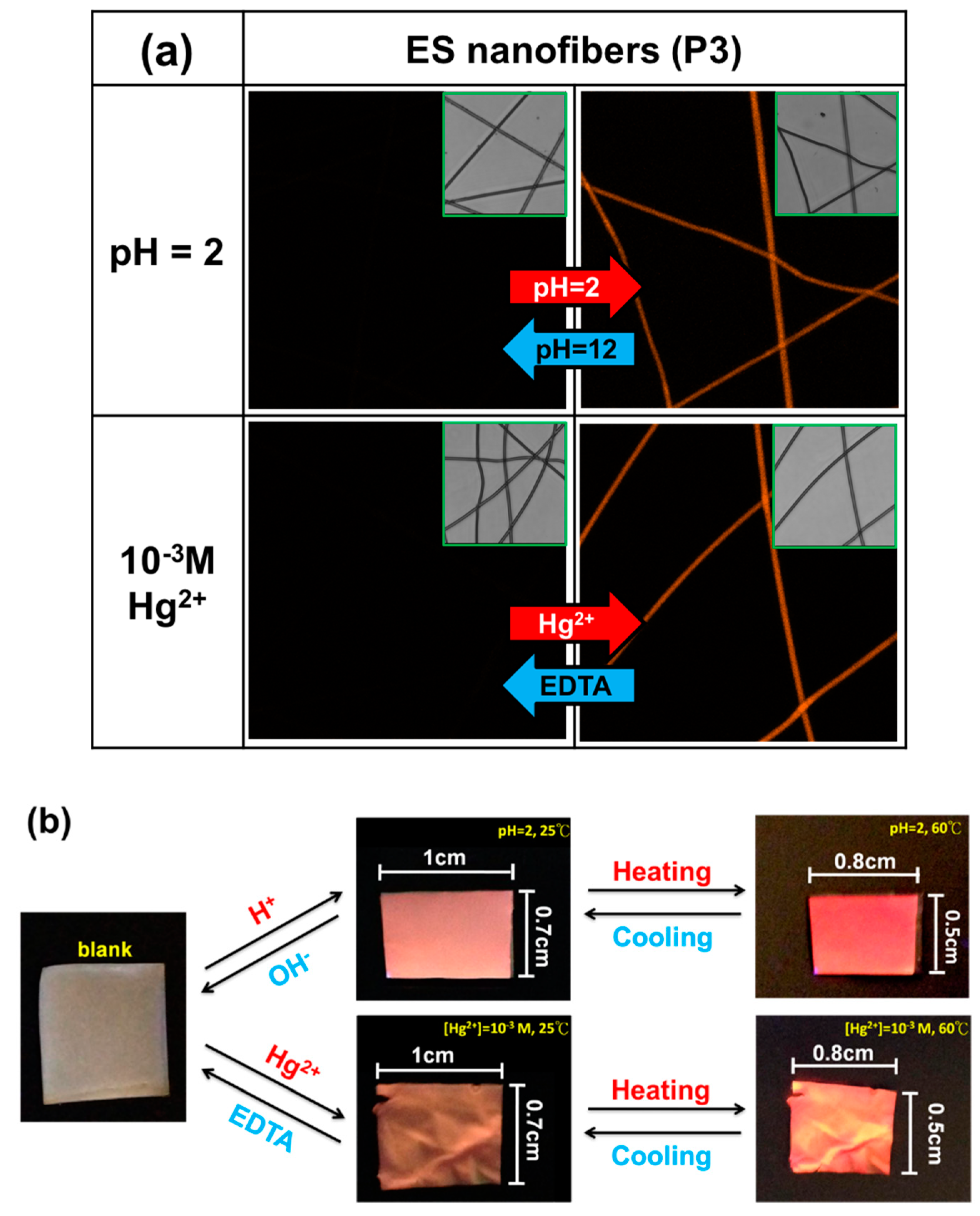 Polymers 10 01259 g006