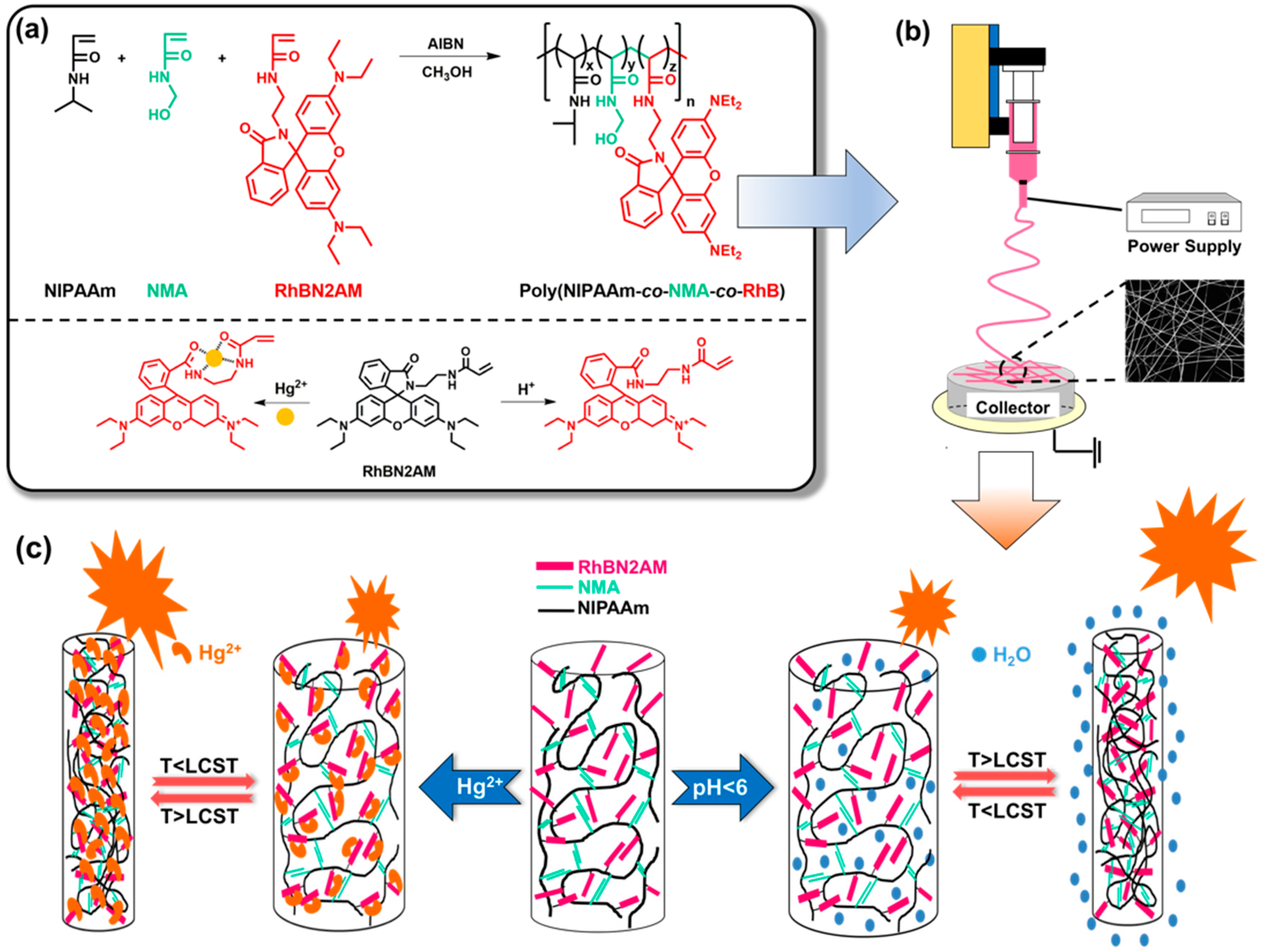 Polymers 10 01259 sch001