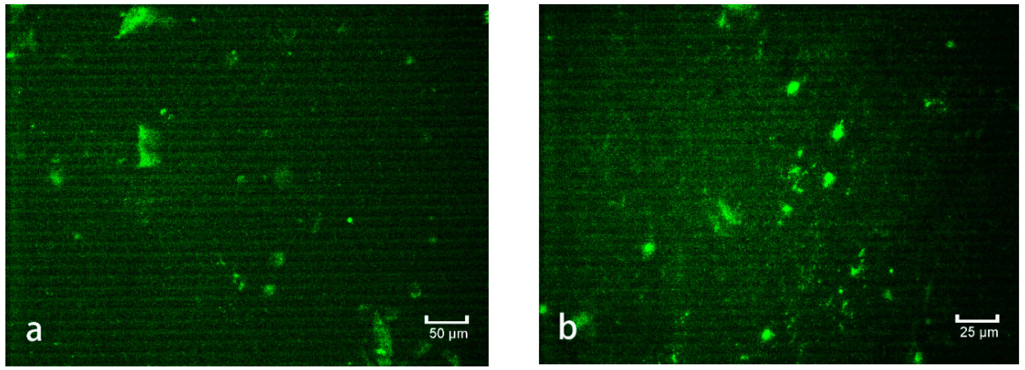 Polymers 10 01264 g011a