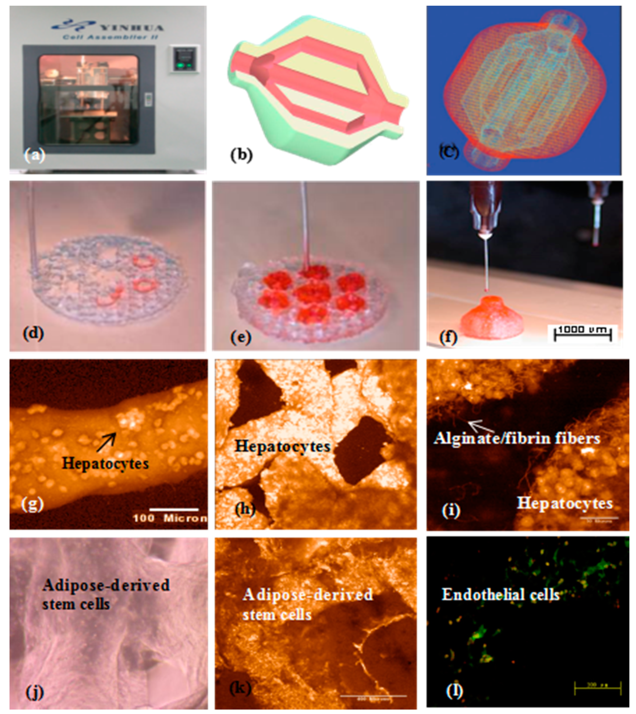 Polymers 10 01278 g008