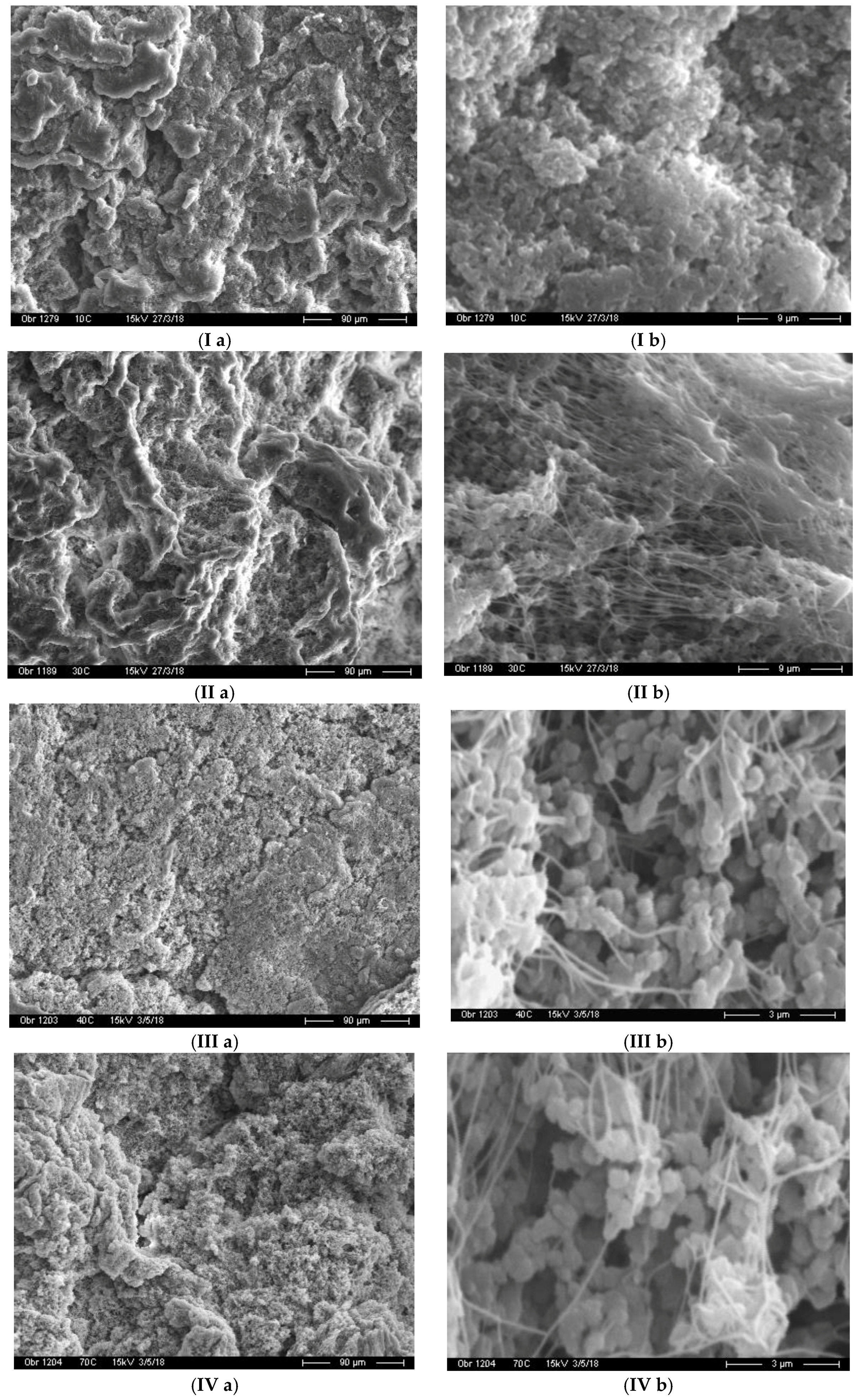 Polymers 10 01281 g002 Polymers 10 01281 g002
