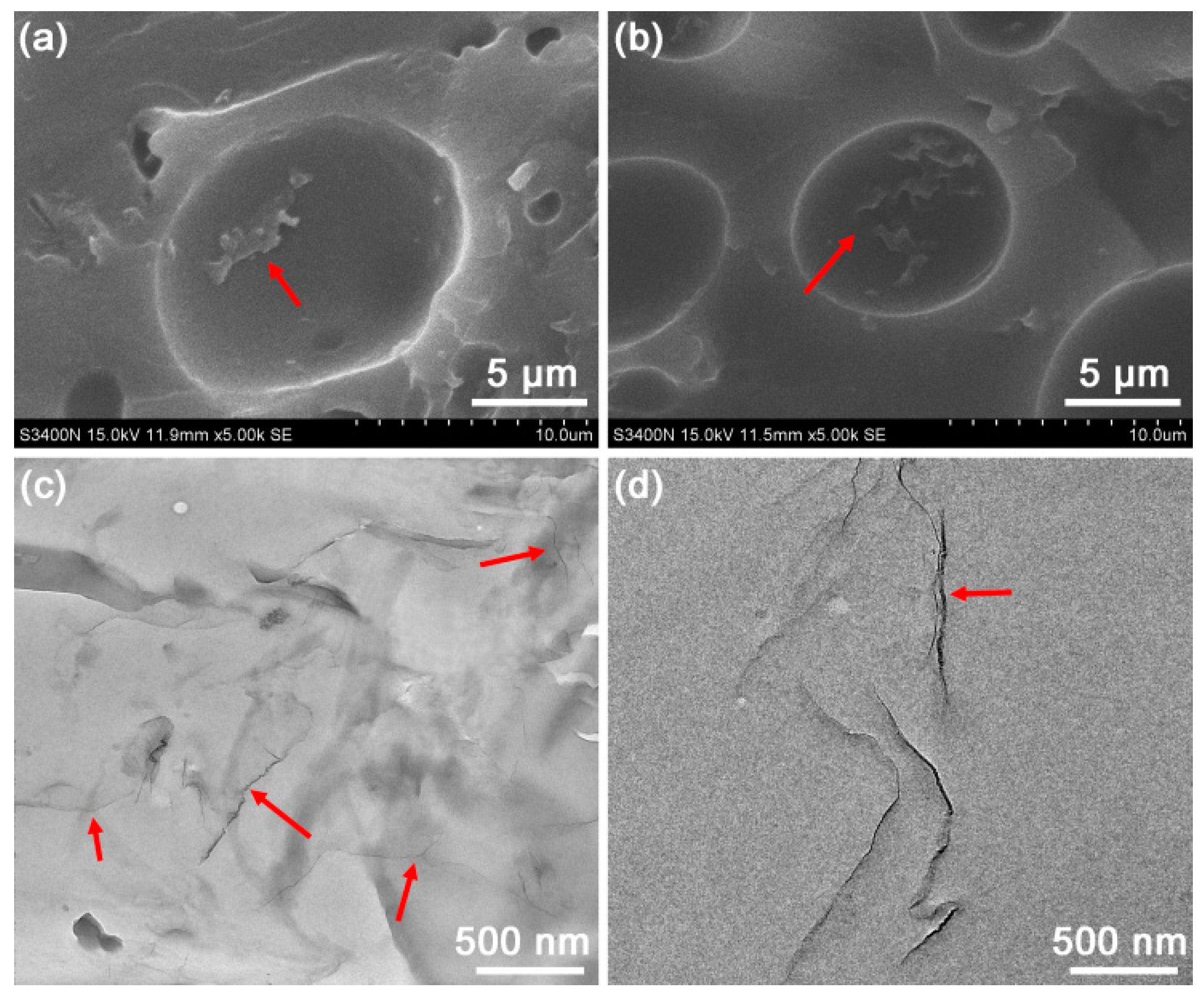 Polymers 10 01288 g005 Polymers 10 01288 g005
