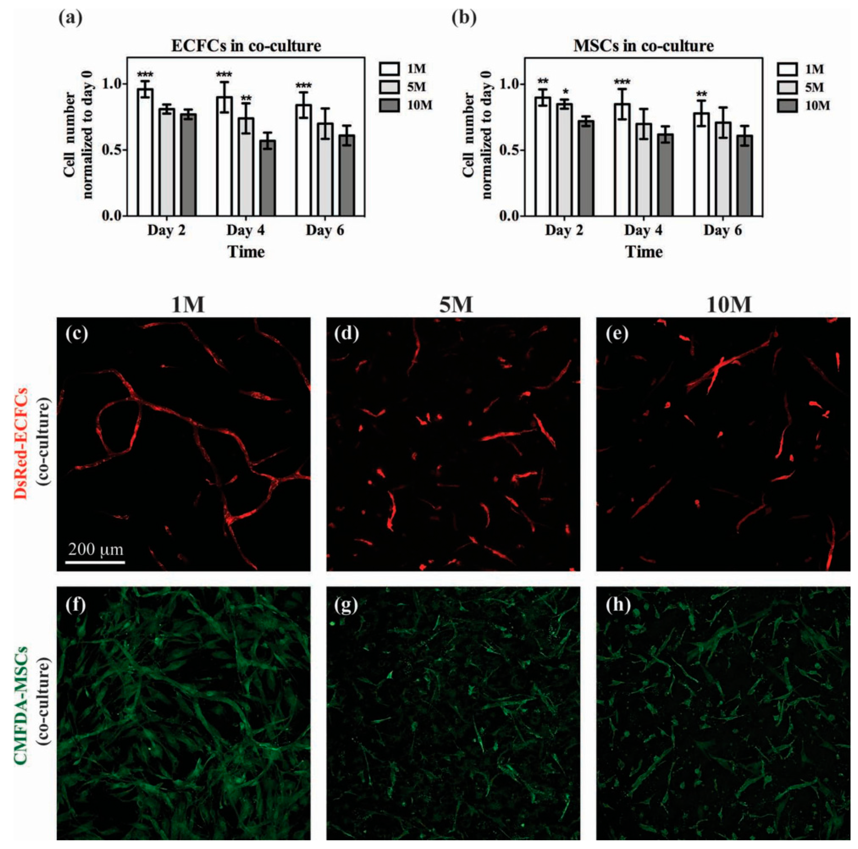 Polymers 10 01290 g005