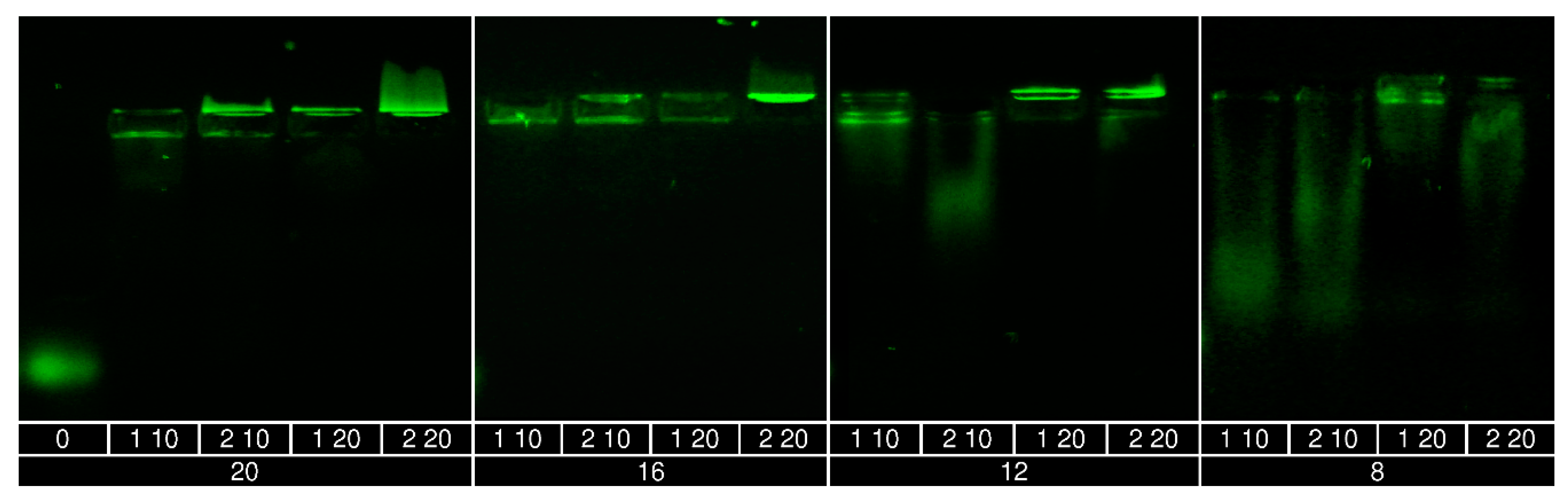 Polymers 10 01297 g002